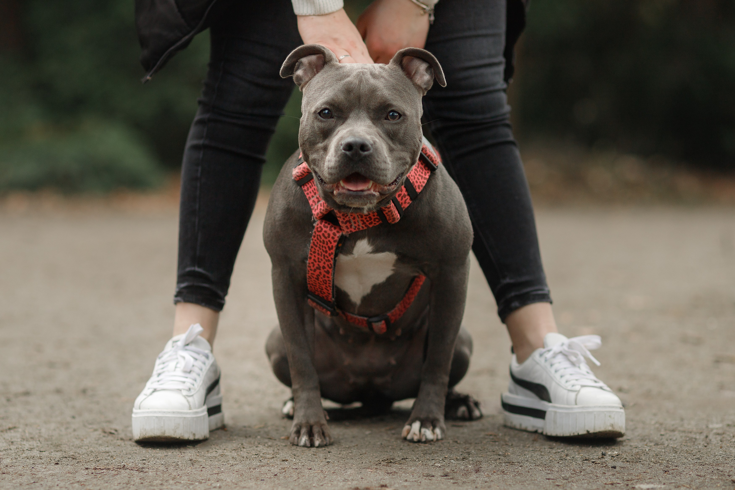 Bombka. Kaja | fotograf we Wrocławiu | ludzie i psy