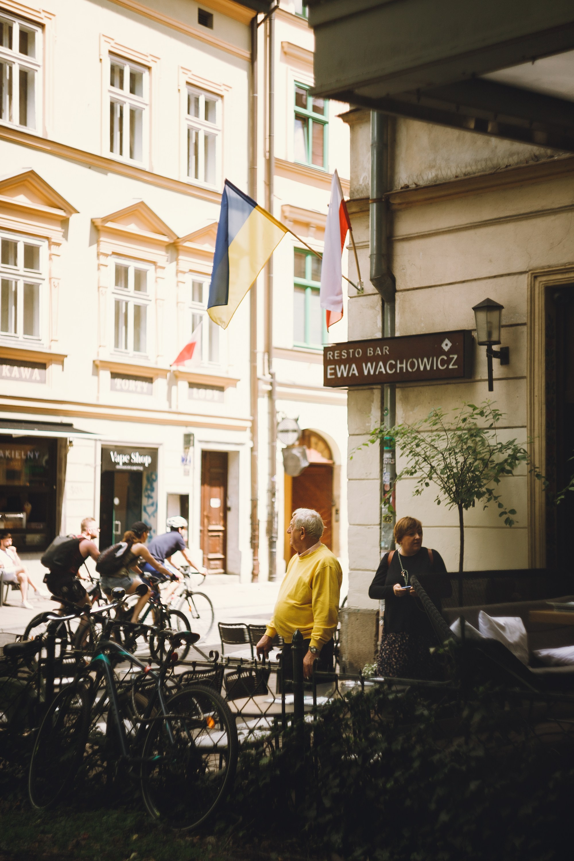 Krakow. Kaja | fotograf psów we Wrocławiu