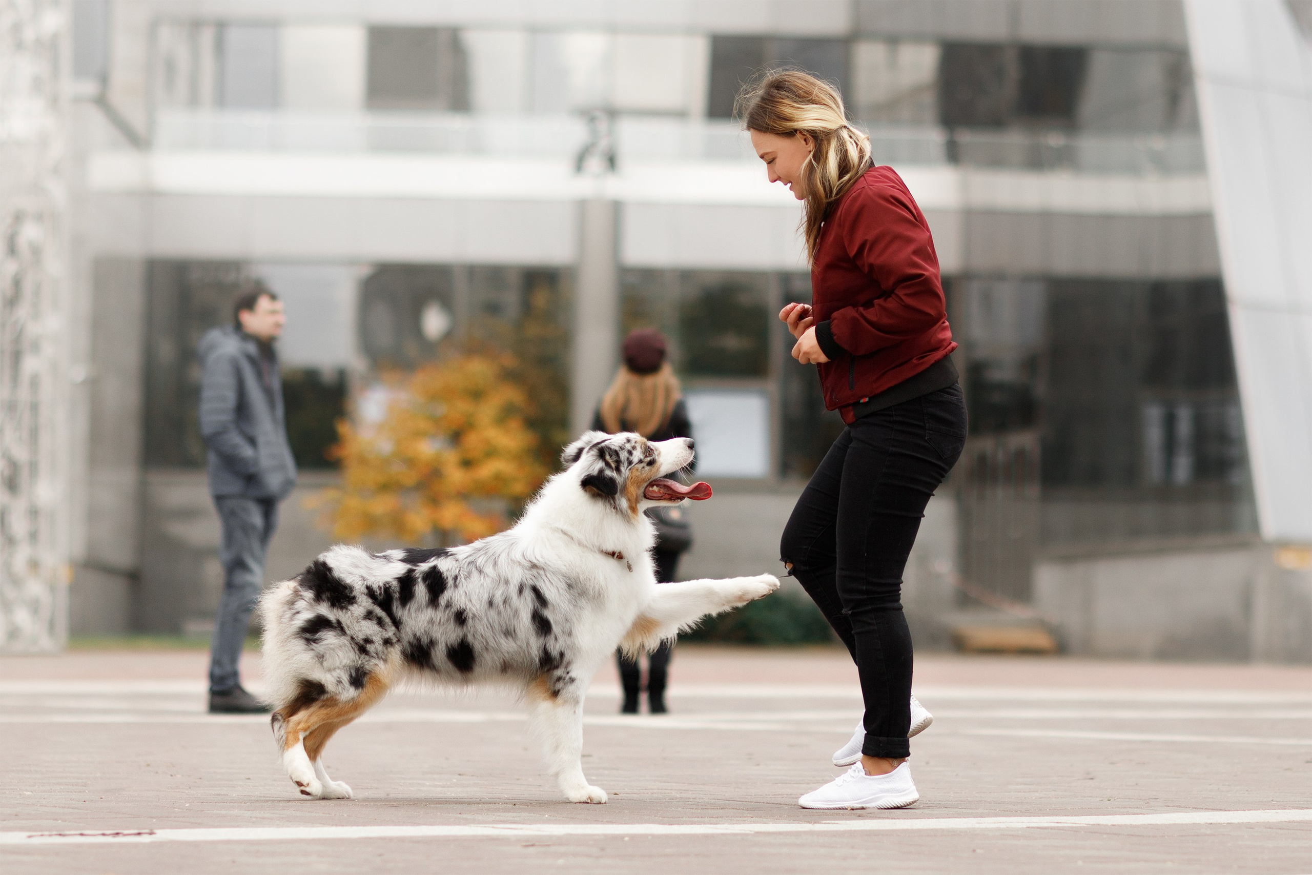 Autumn photo day for dog handler. Kaja | fotograf we Wrocławiu | ludzie i psy