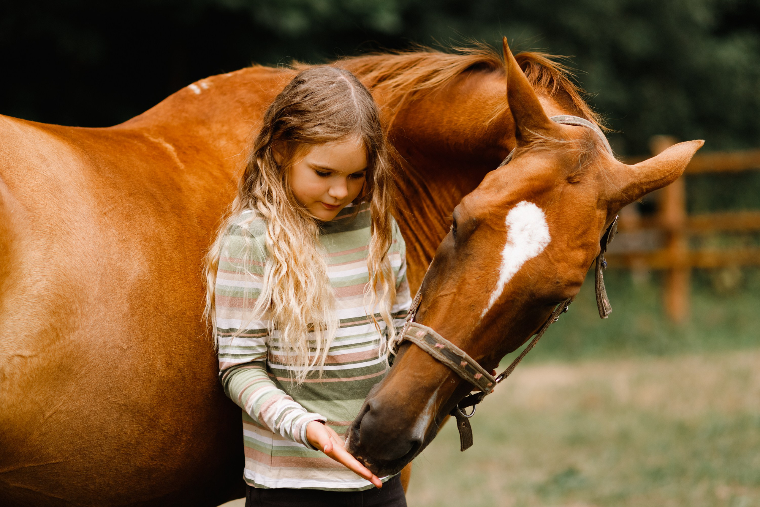 Girls & horses, summer. Kaja | fotograf psów we Wrocławiu