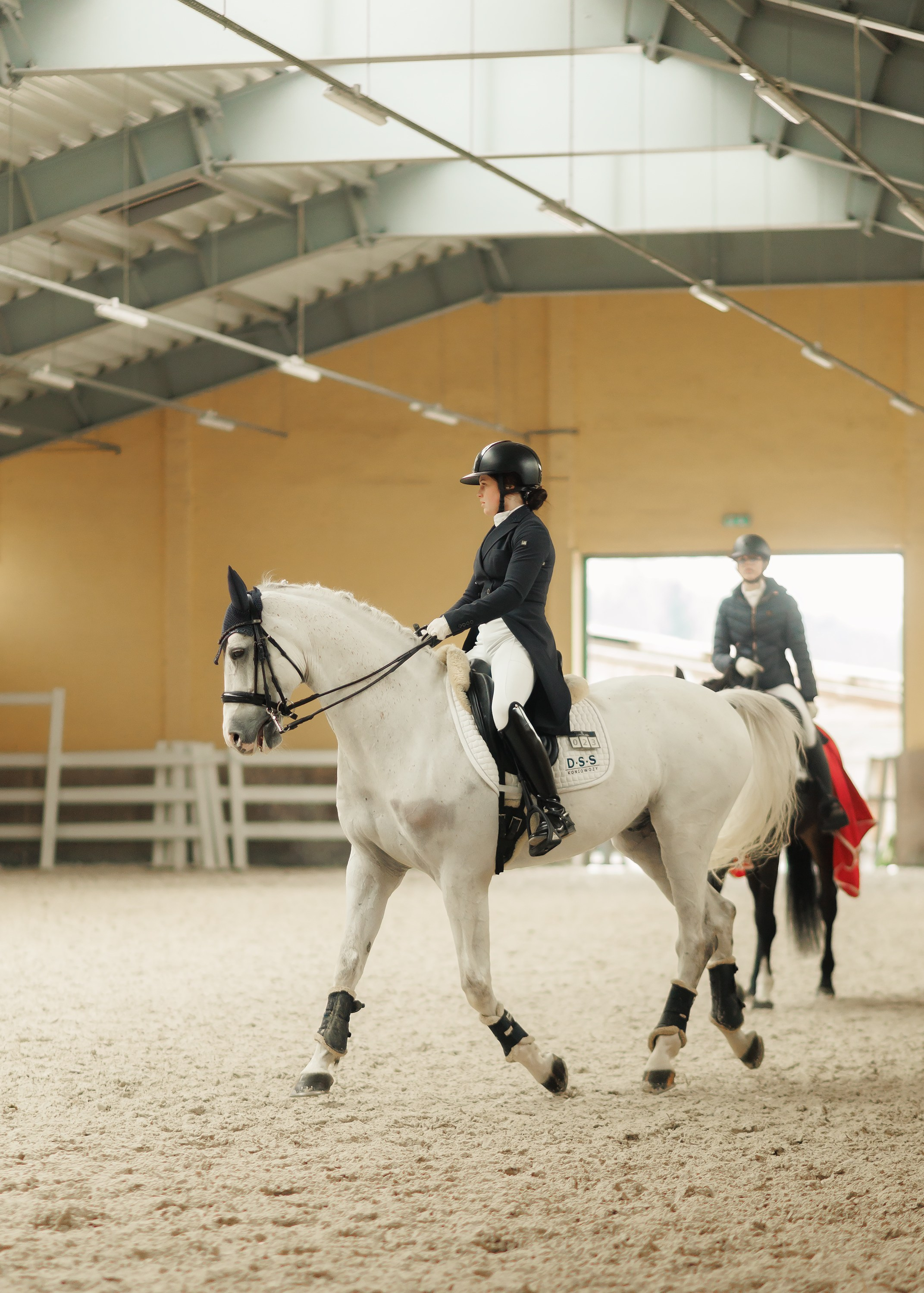 Fotografia koni Wrocław \ ujeżdżenie, Partynice. Kaja | fotograf we Wrocławiu | ludzie i psy