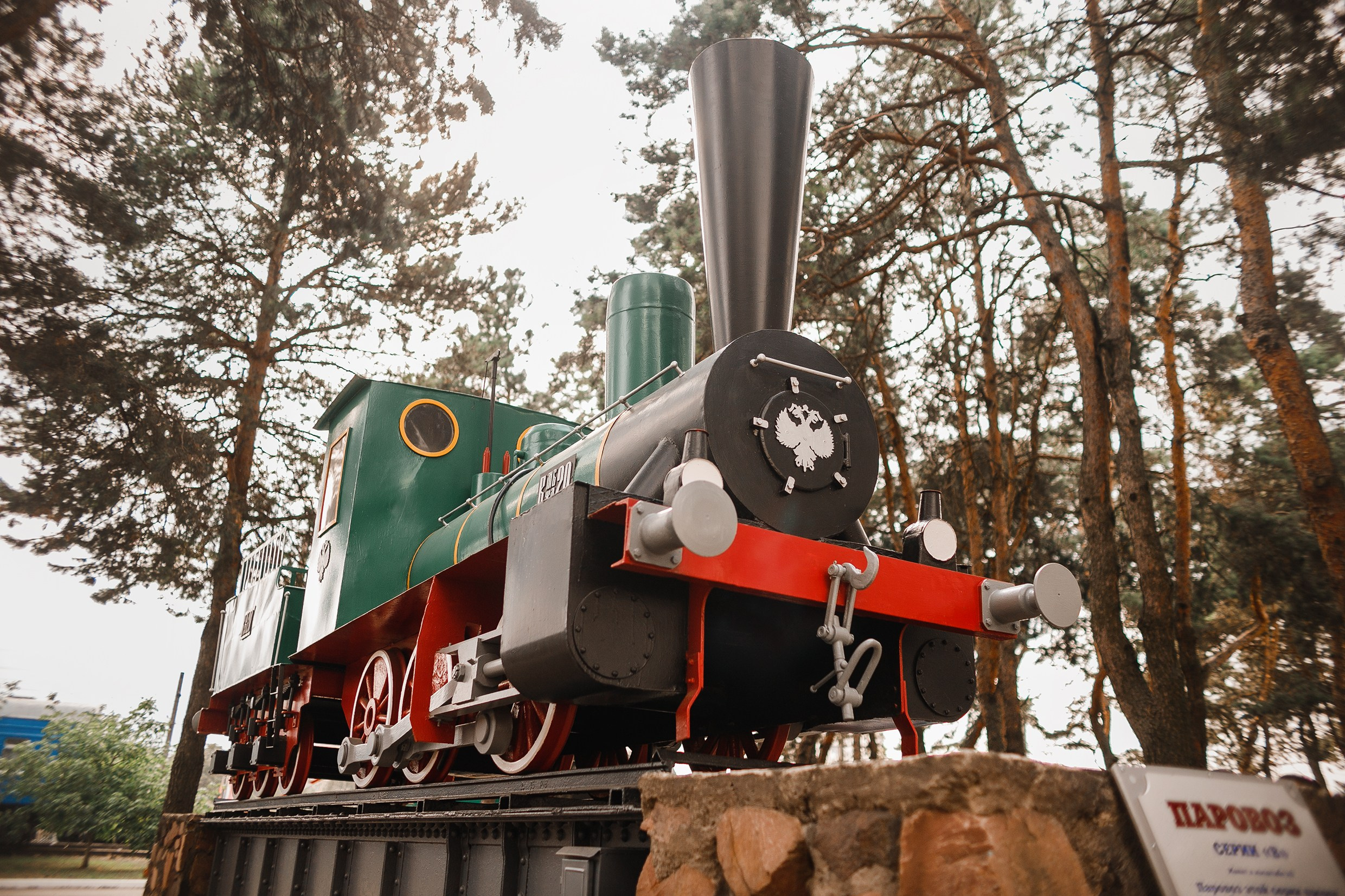 Narrow-gauge railway trip. Kaja | fotograf psów we Wrocławiu