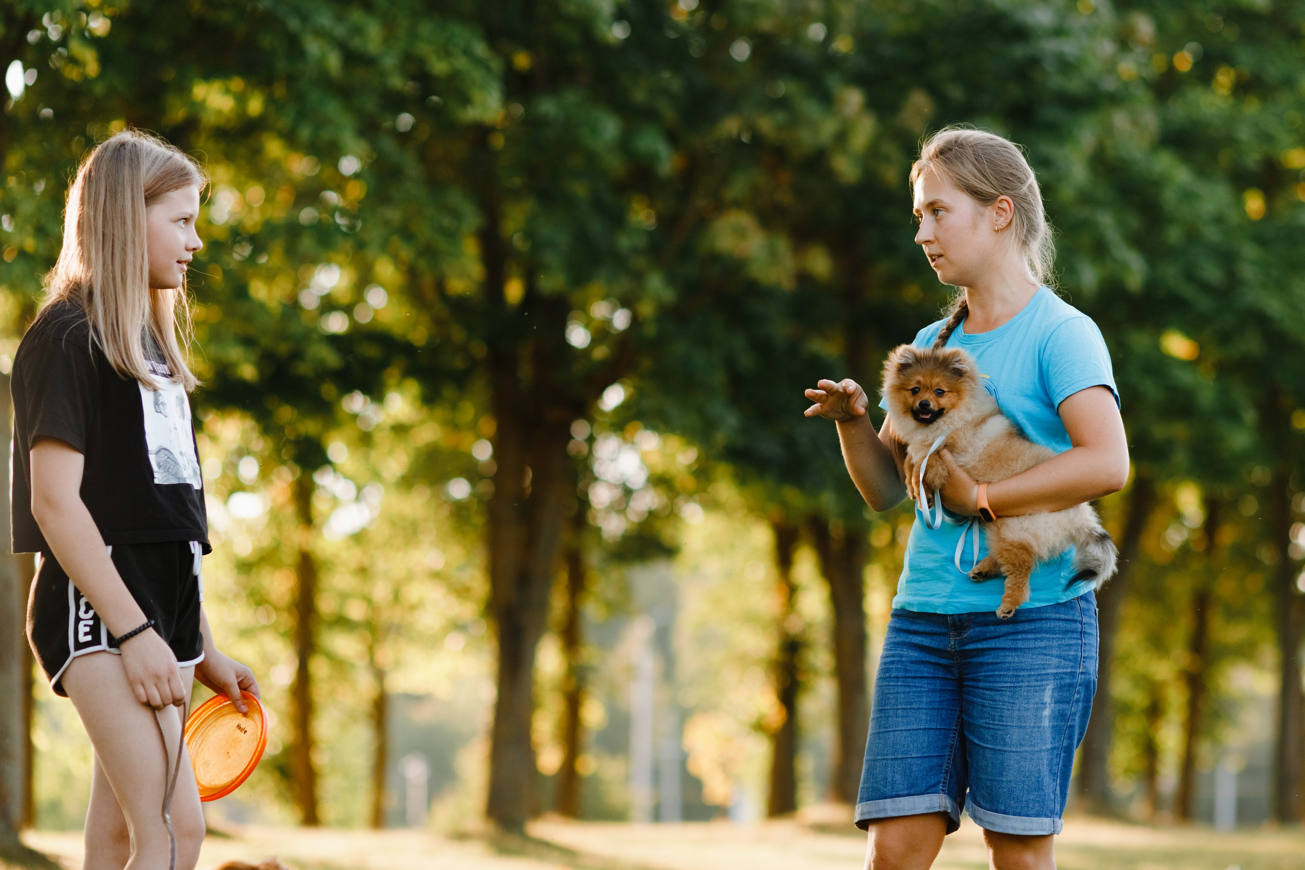 Frisbee workshop of Darya Lukina. Kaja | fotograf we Wrocławiu | ludzie i psy