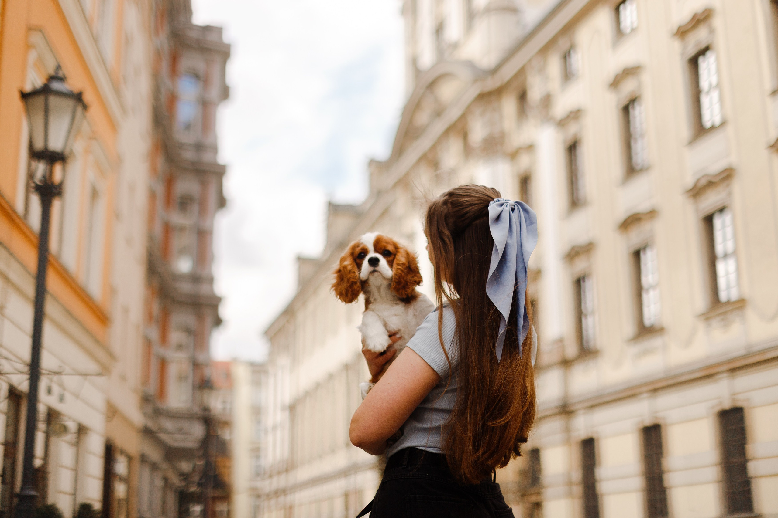 Uliana i Franklin. Kaja | fotograf we Wrocławiu | ludzie i psy