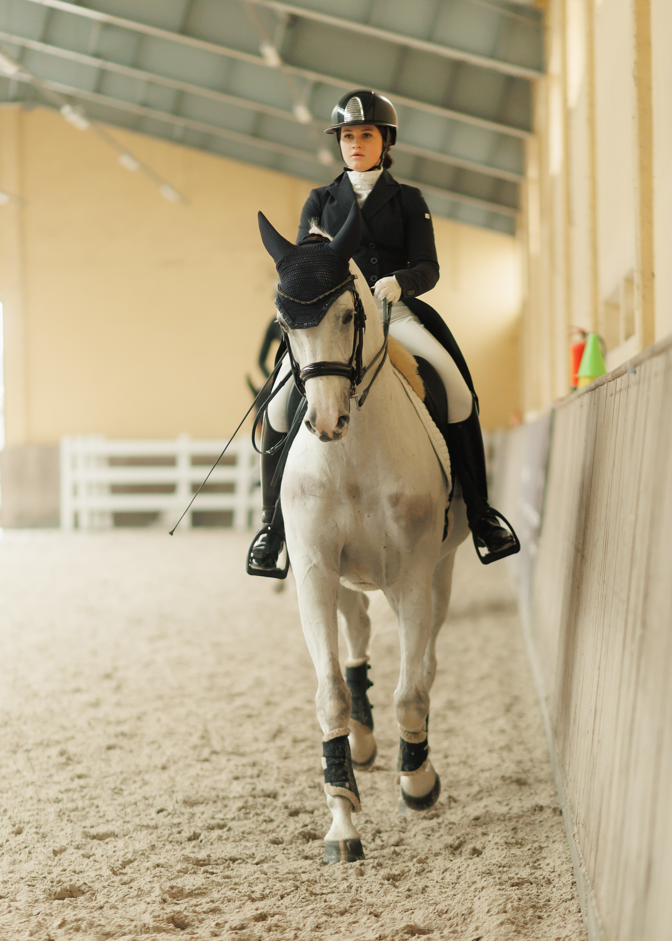 Partynice dressage \ feb'25. Kaja | fotograf we Wrocławiu | ludzie i psy