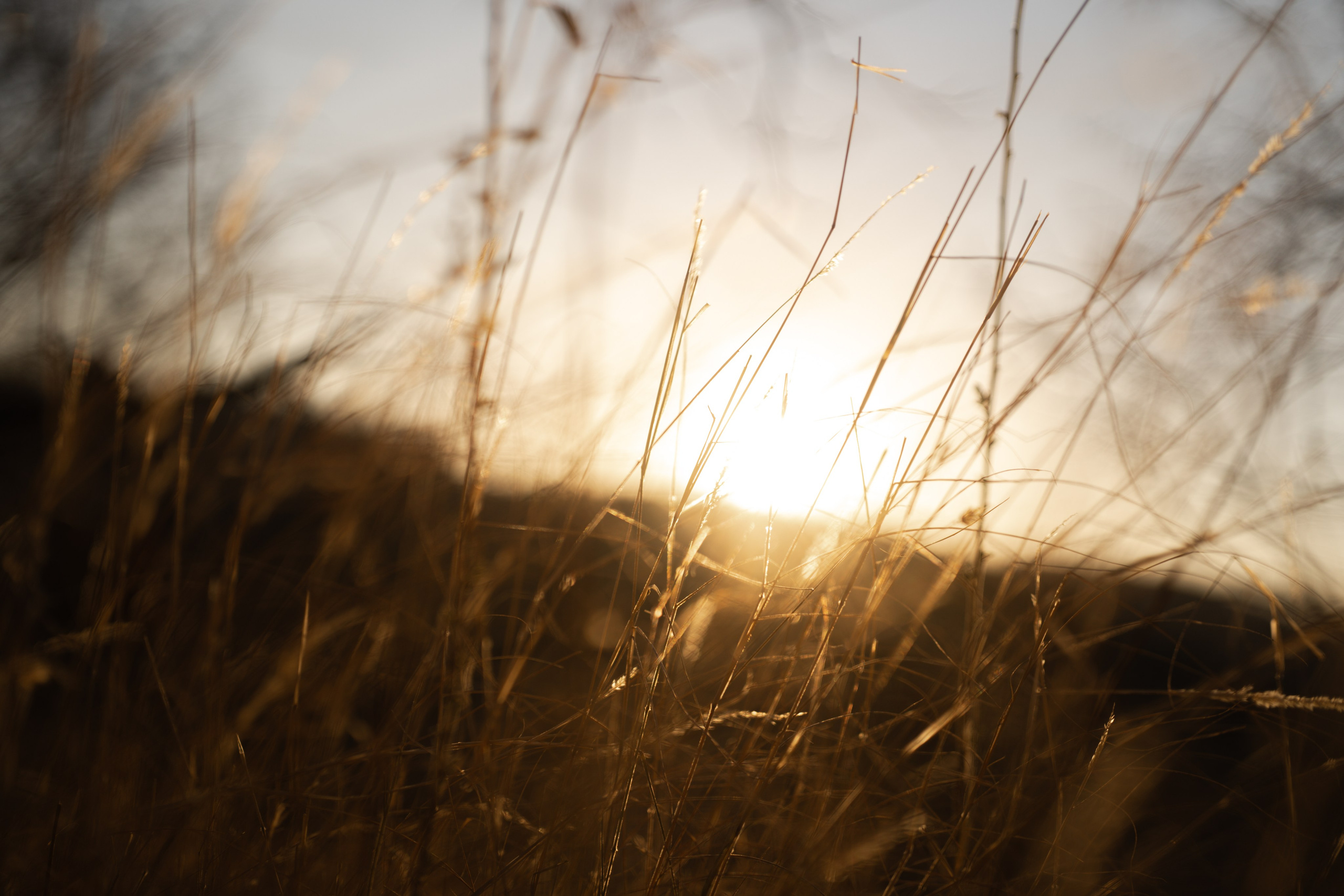 Aleatórias. Ryan Farias — Fotógrafo