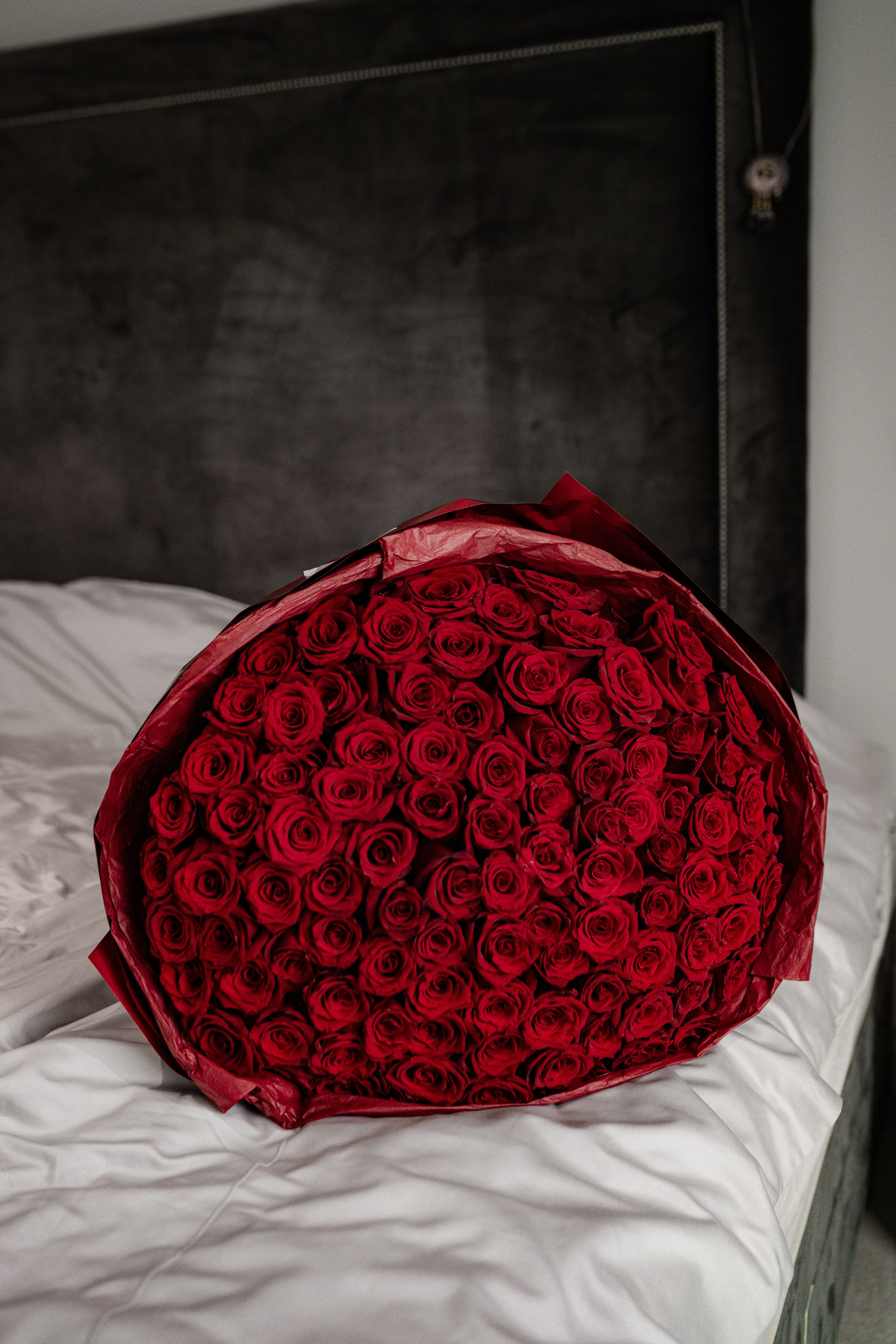 Daria. Tonya Kyrylenko photographer in London