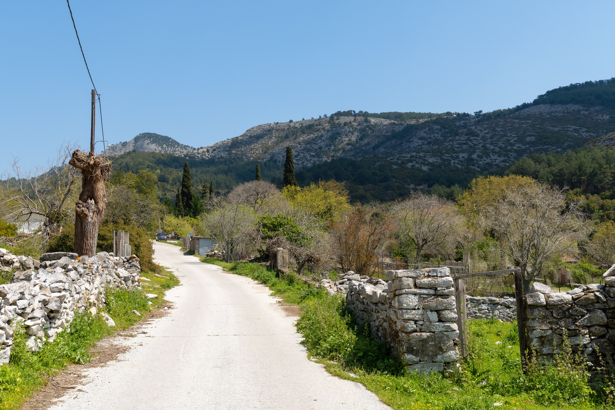 Thasos 2025. Fotografiideplacere.net