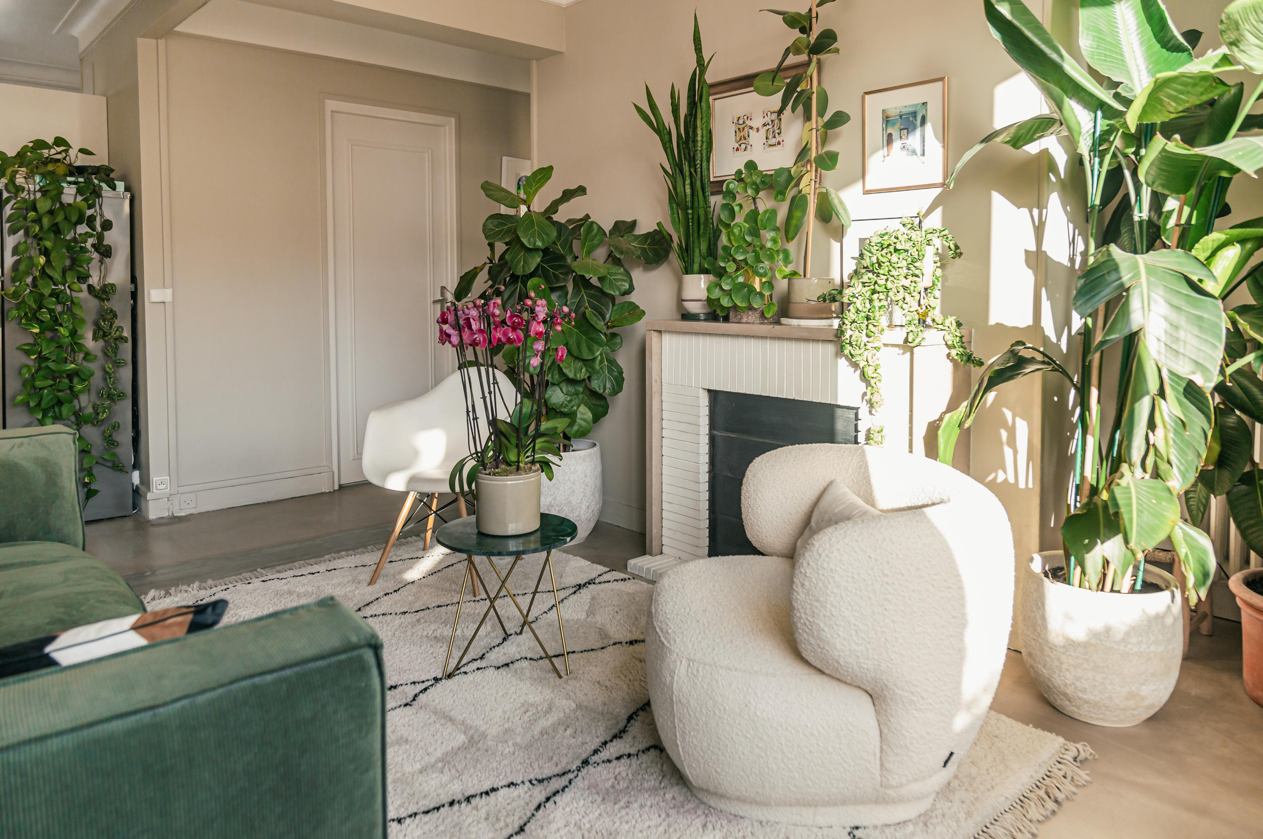 Appartement. Photographe de voitures à Paris — Vitalii Motruk