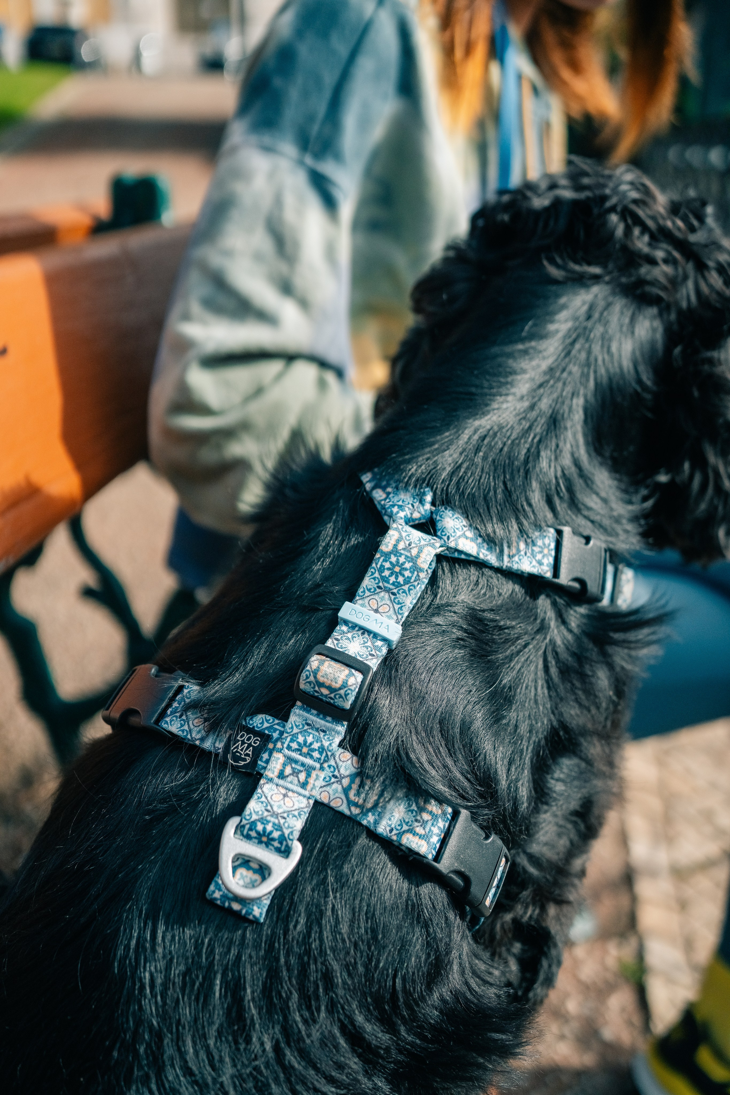 Dogma. Maria Sher. Fotógrafa profissional do Porto, Portugal