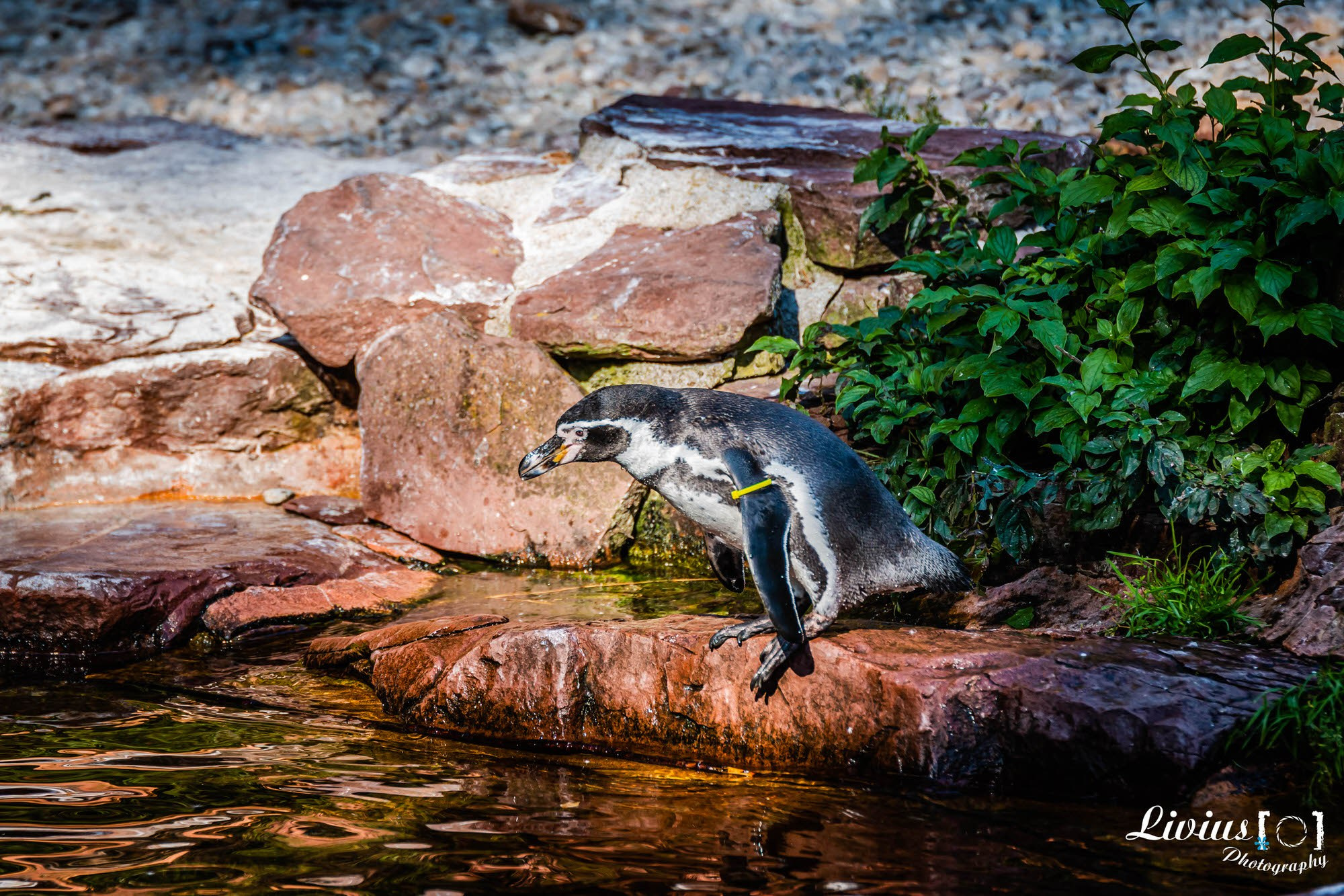 Tierpark Nürnberg. FOTO KREATIV