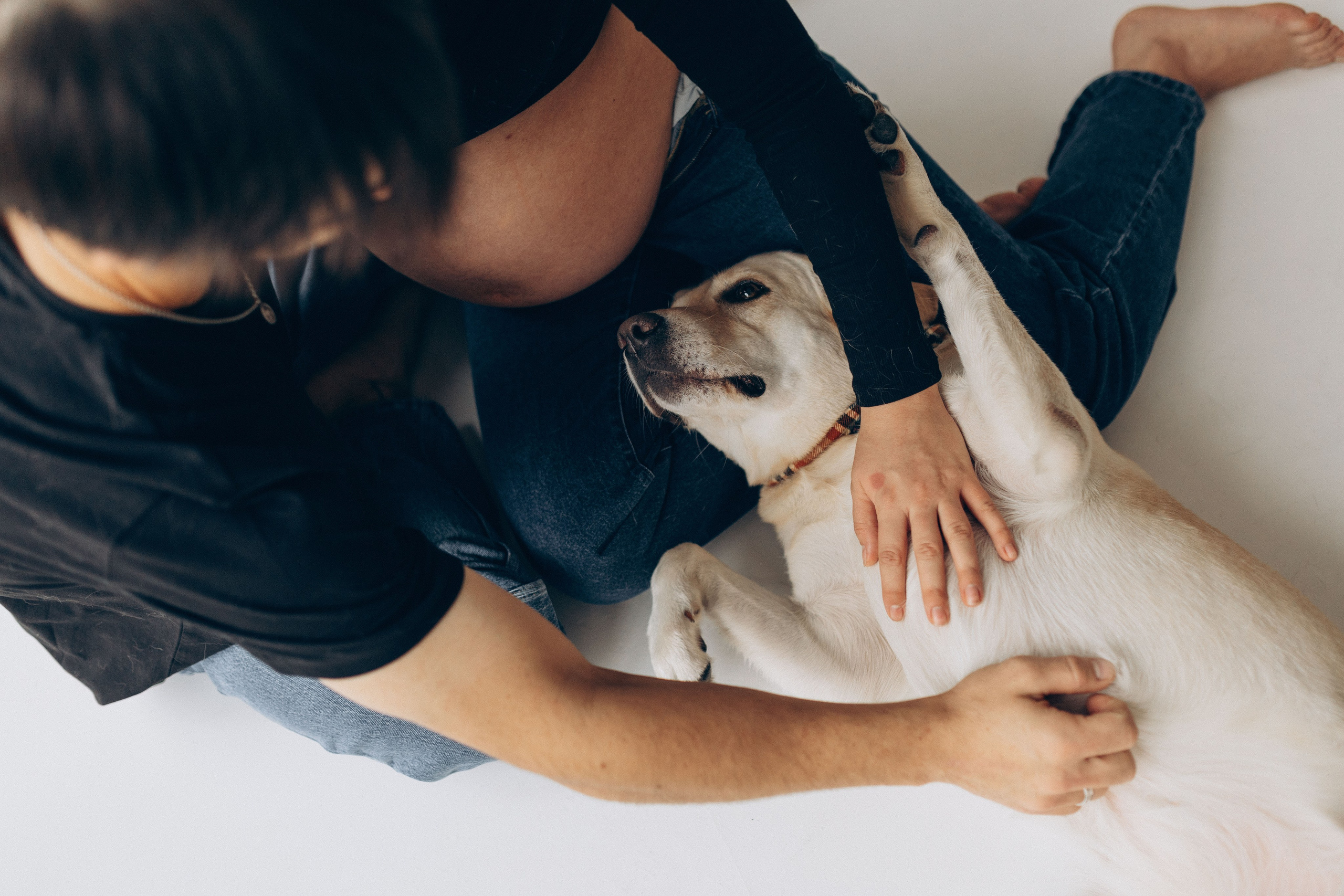 Pregnant Story. Main