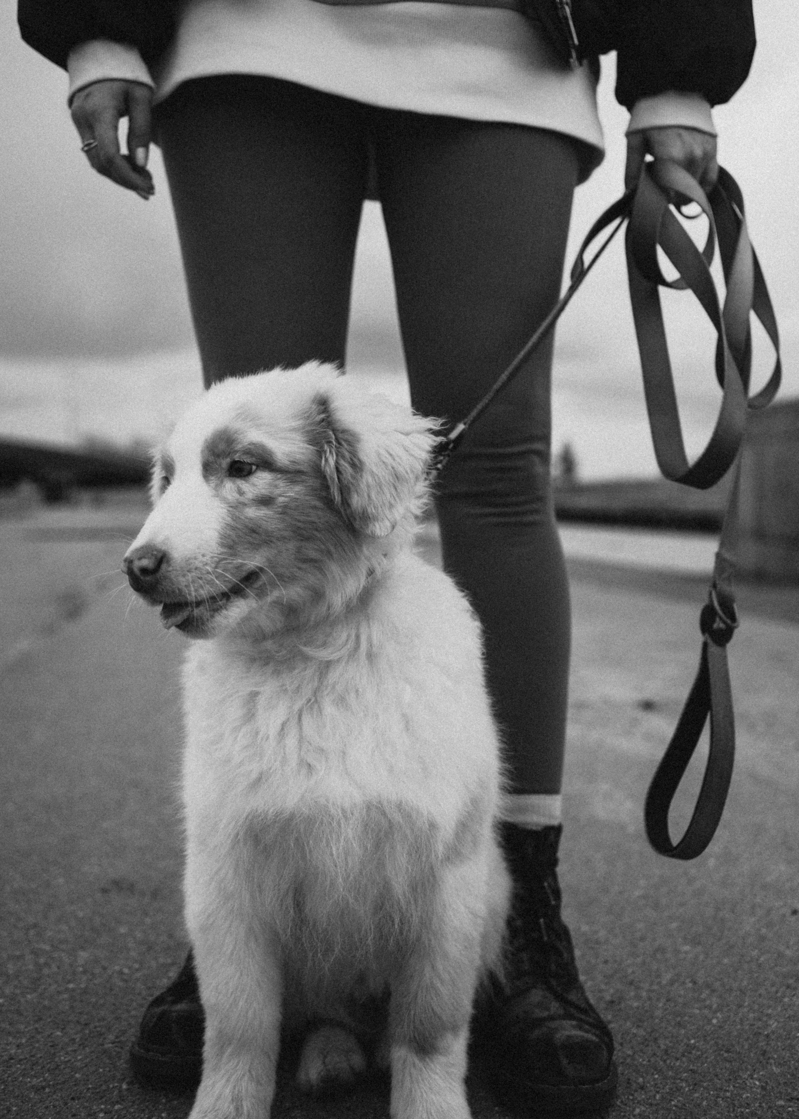 Anna&Cosmo. Pagina principale