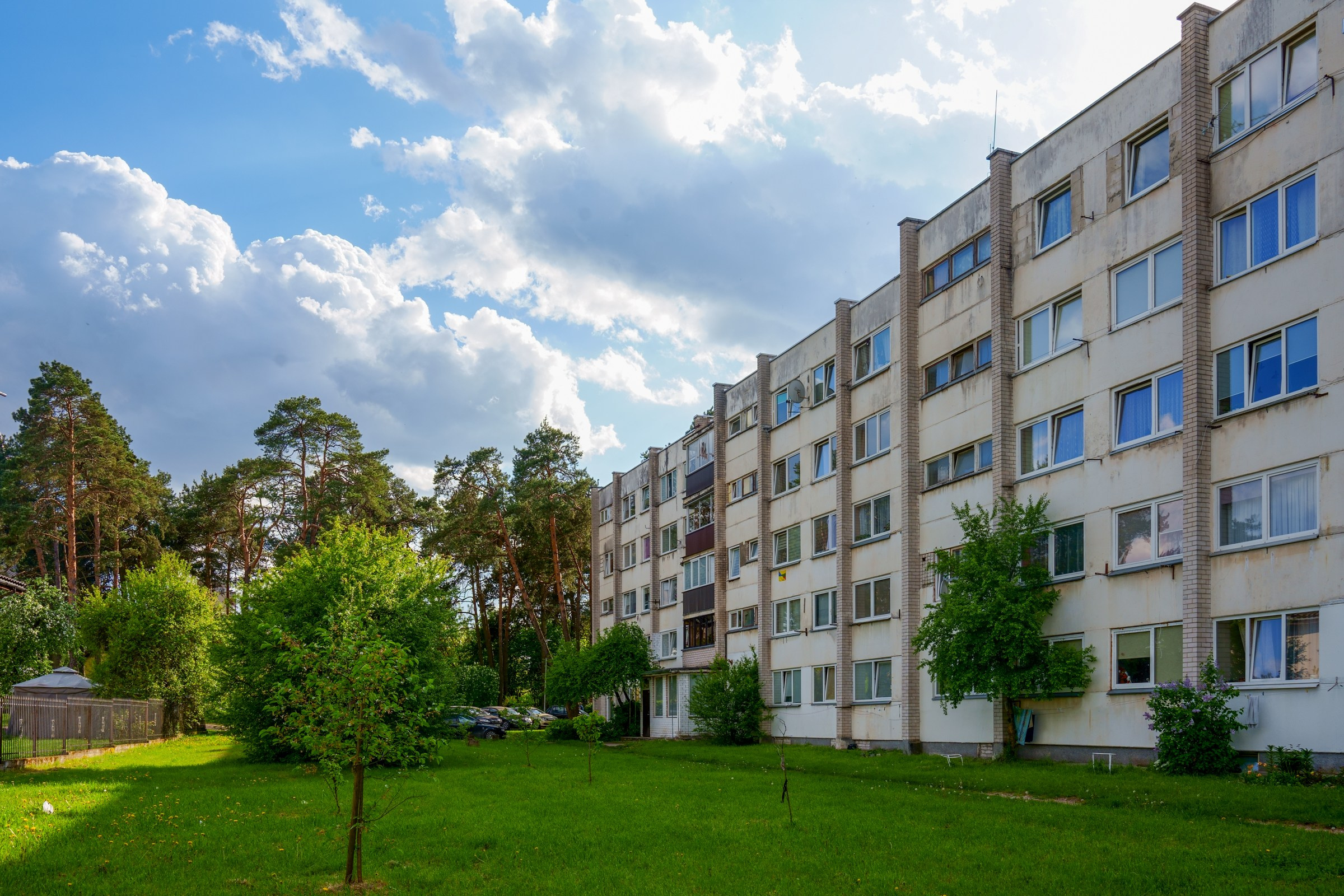 Grigiškes, Vilniaus g. Elina Sapiega fotografė Vilniuje