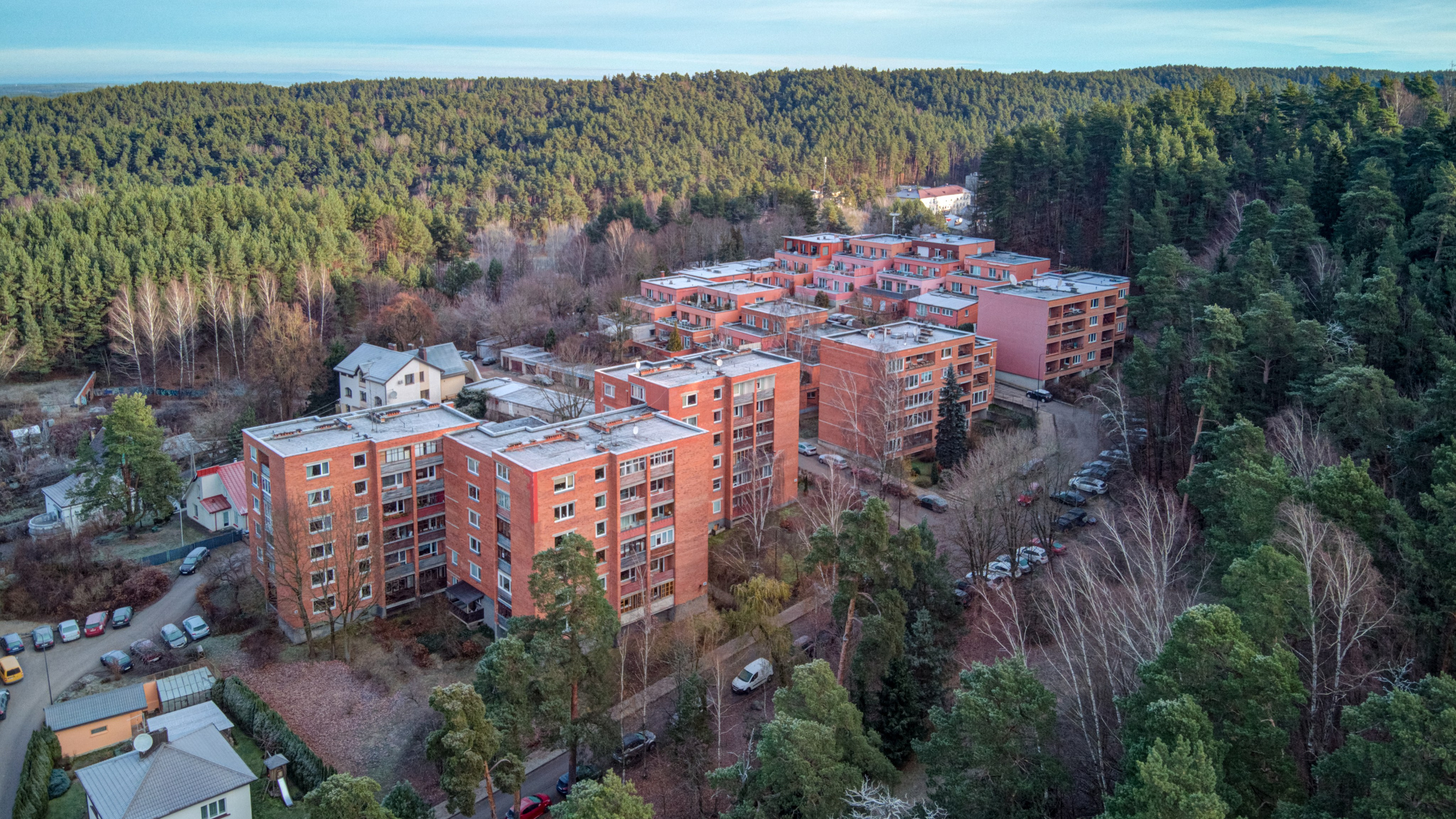 Dronas Antakalnis, Kanklių 10. Elina Sapiega fotografė Vilniuje