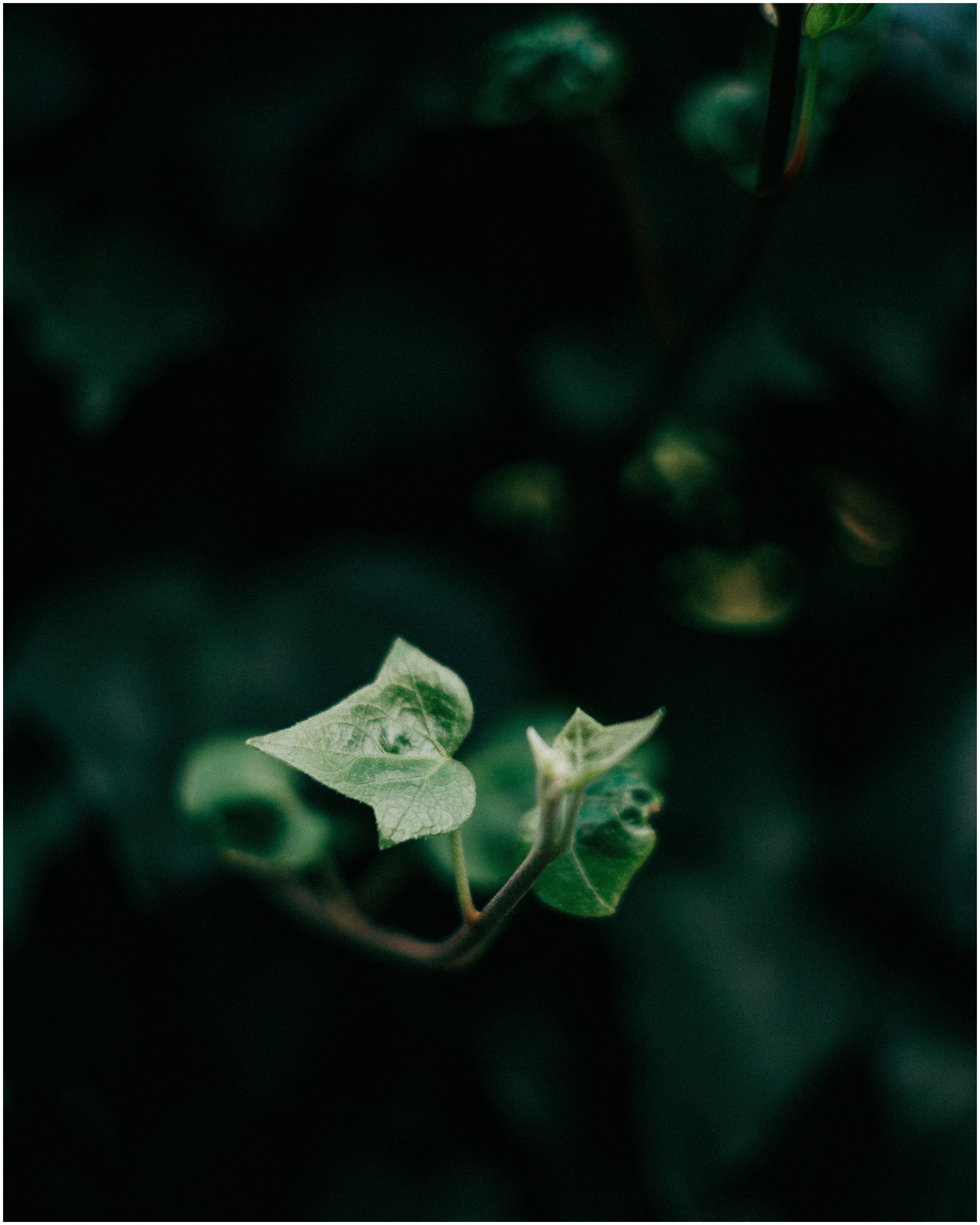 PALERMO. Photographer Inna Mendelson