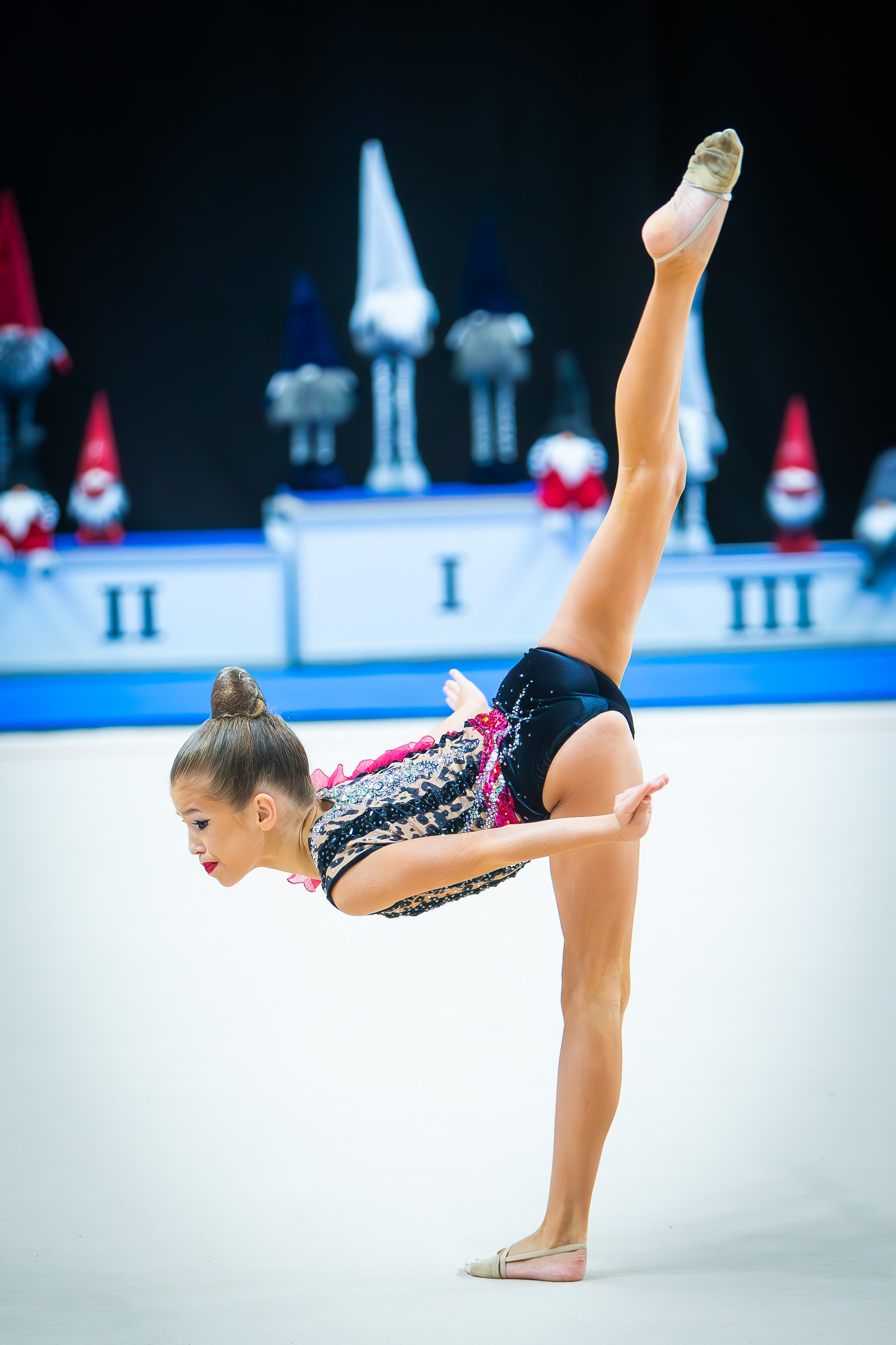 Галерея 2. Спортивная фотография, видео, трансляции