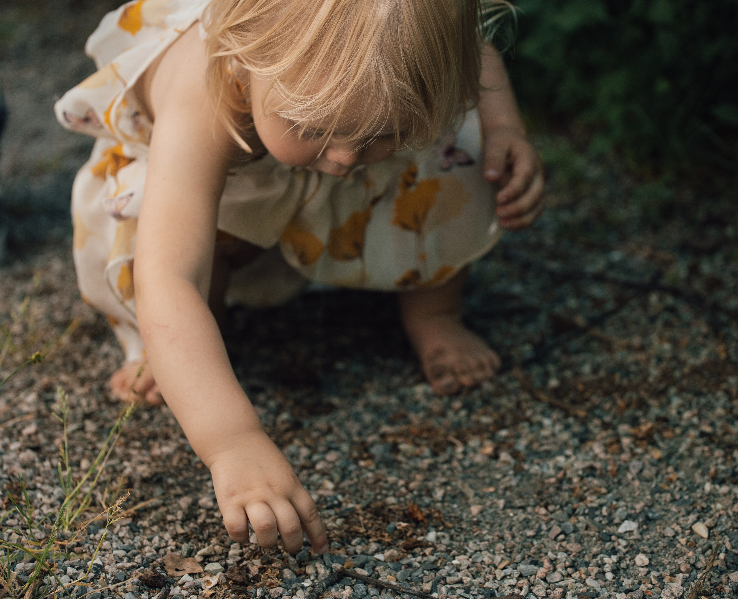 FAMILIE. Fotograf og videograf for familier og bedrifter