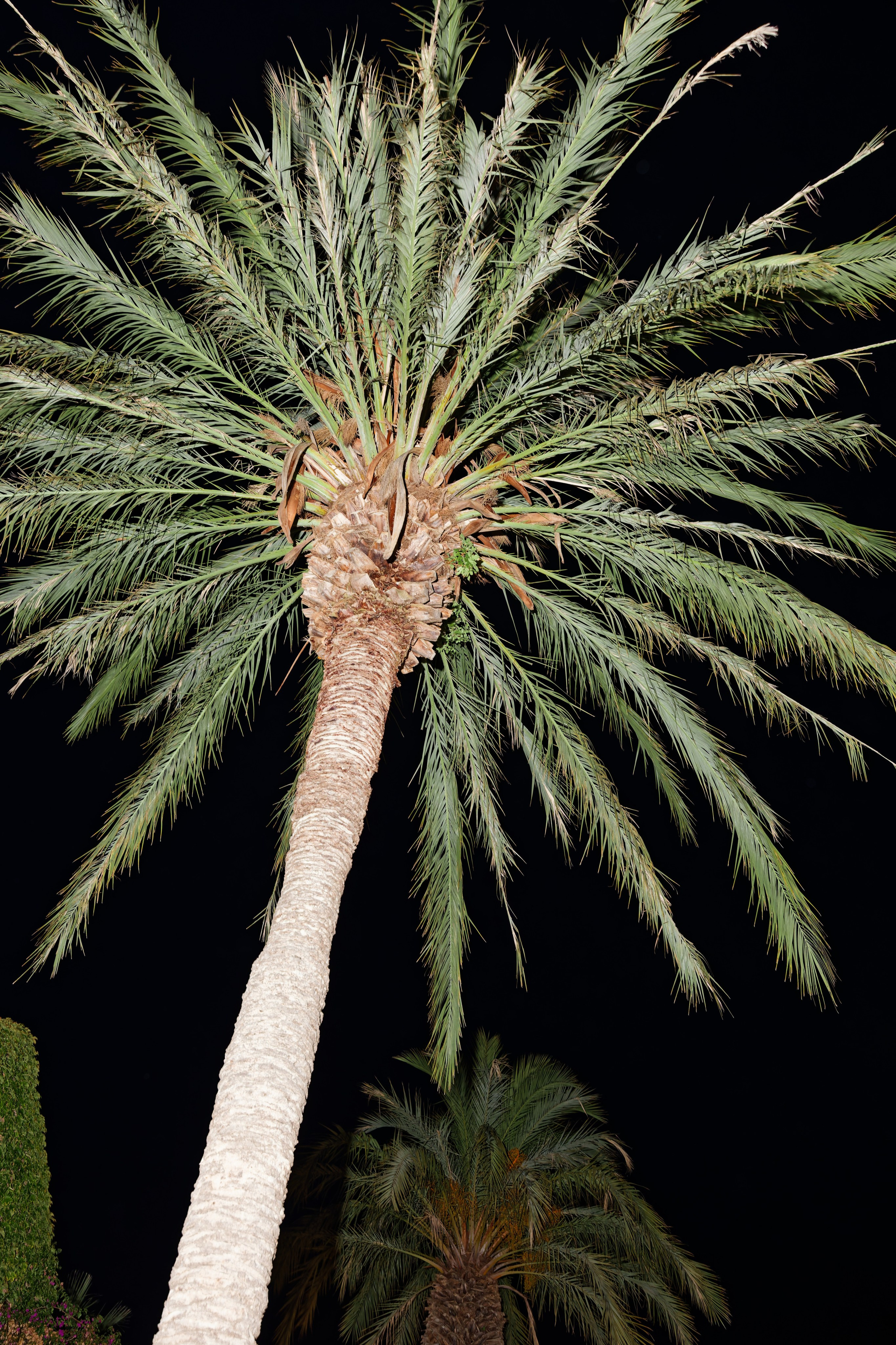 Wedding of Gracie & Joe at Gran Villa Rosa, Barcelona