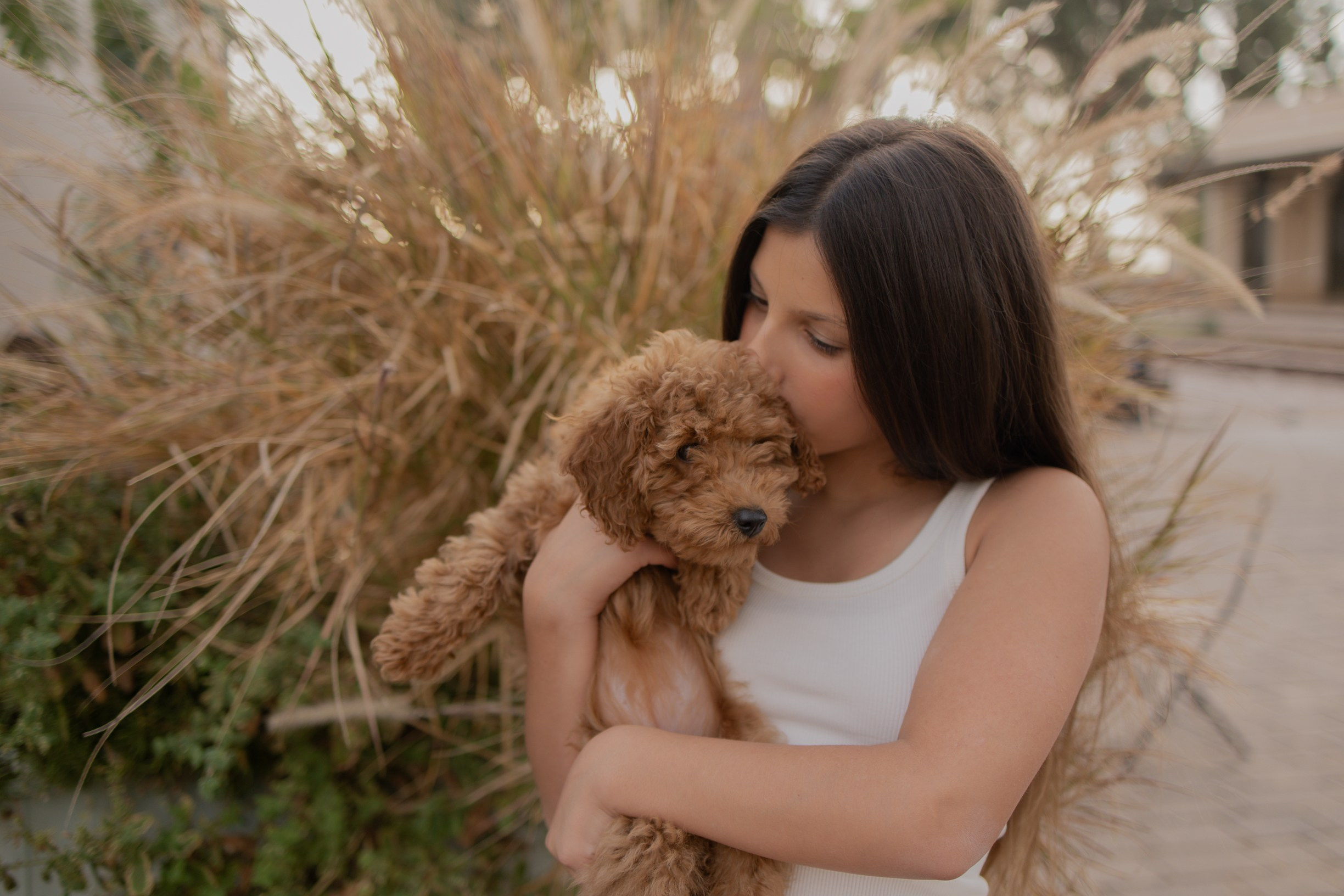 אווירה אורבנית בת מצווה. דף בית