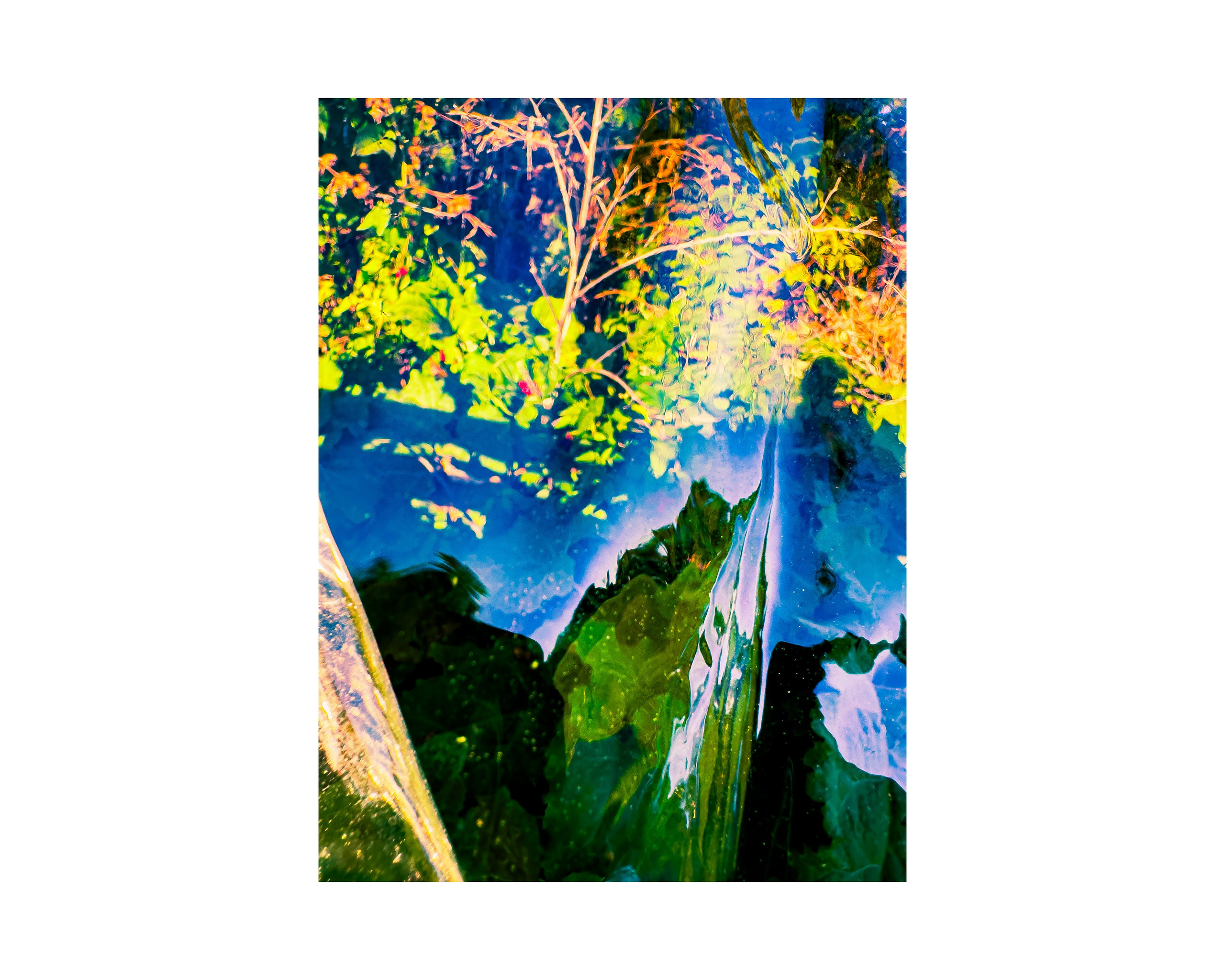 Nature from Exaggerated Worlds. Ekaterina Tsurkina-Appina Photography Canada