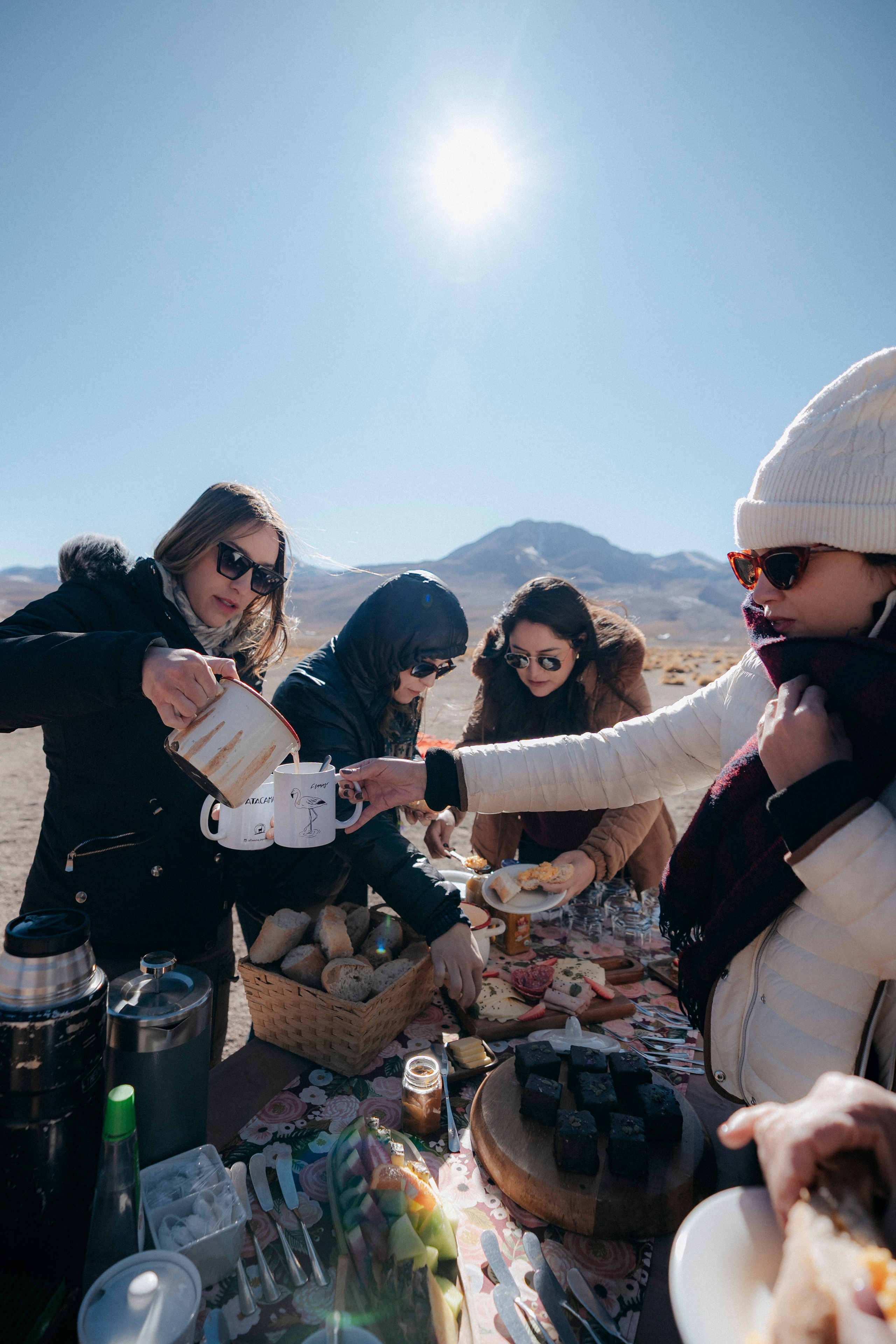 Geyser El Tatio (cobertura en tour privado). Principal