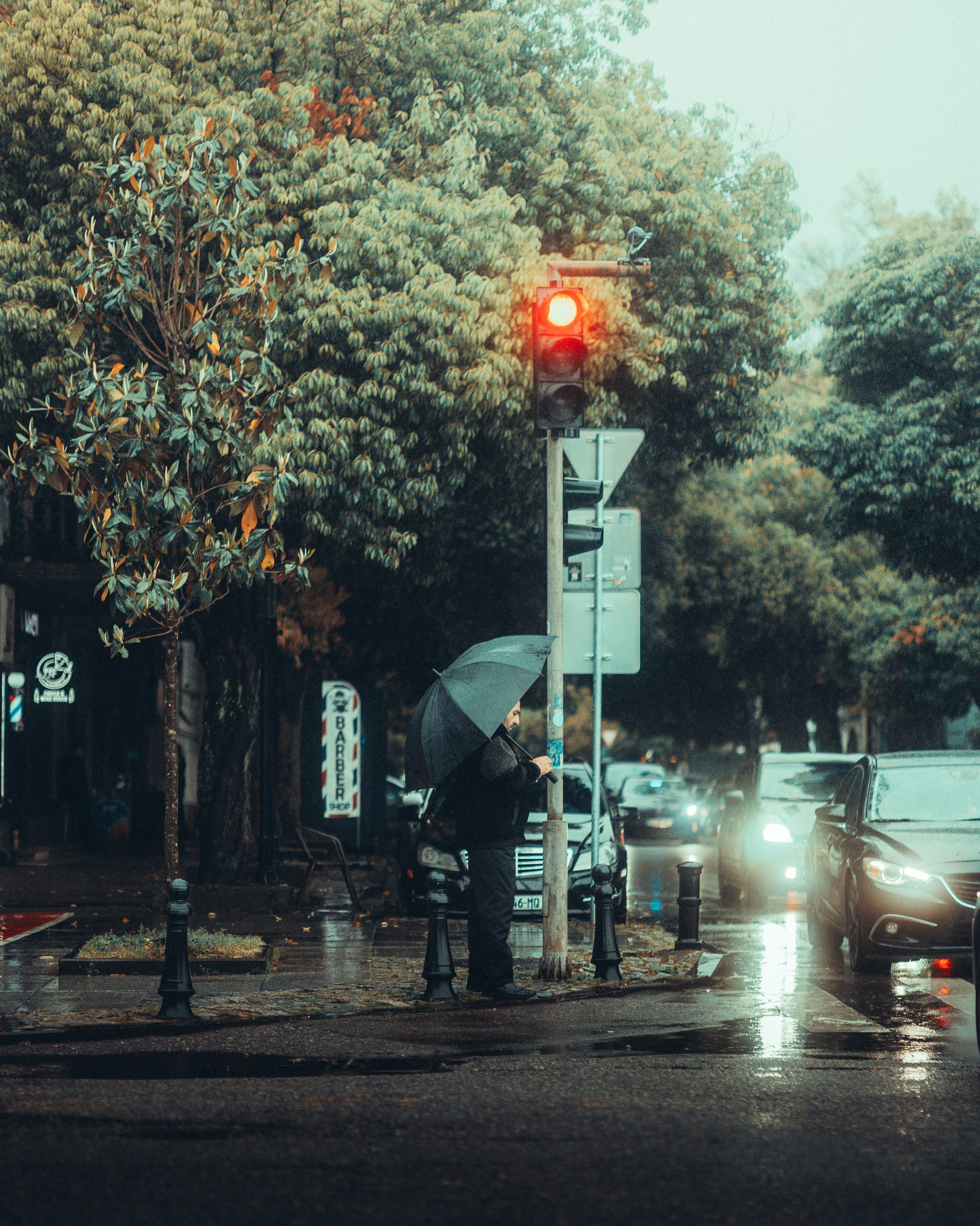 B A T U M I 2 0 2 5. Bspander