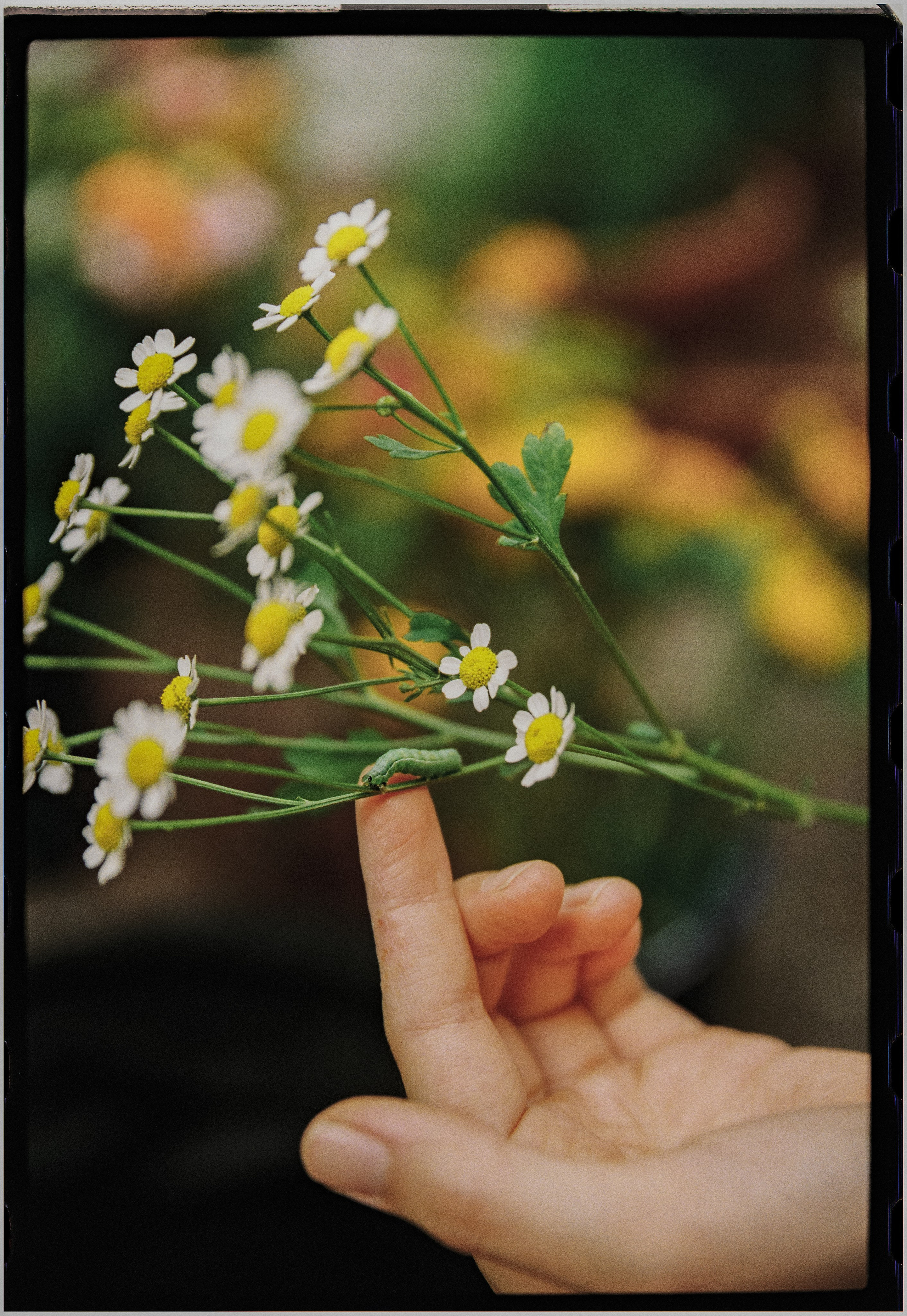 Photography: Kamila Solarz