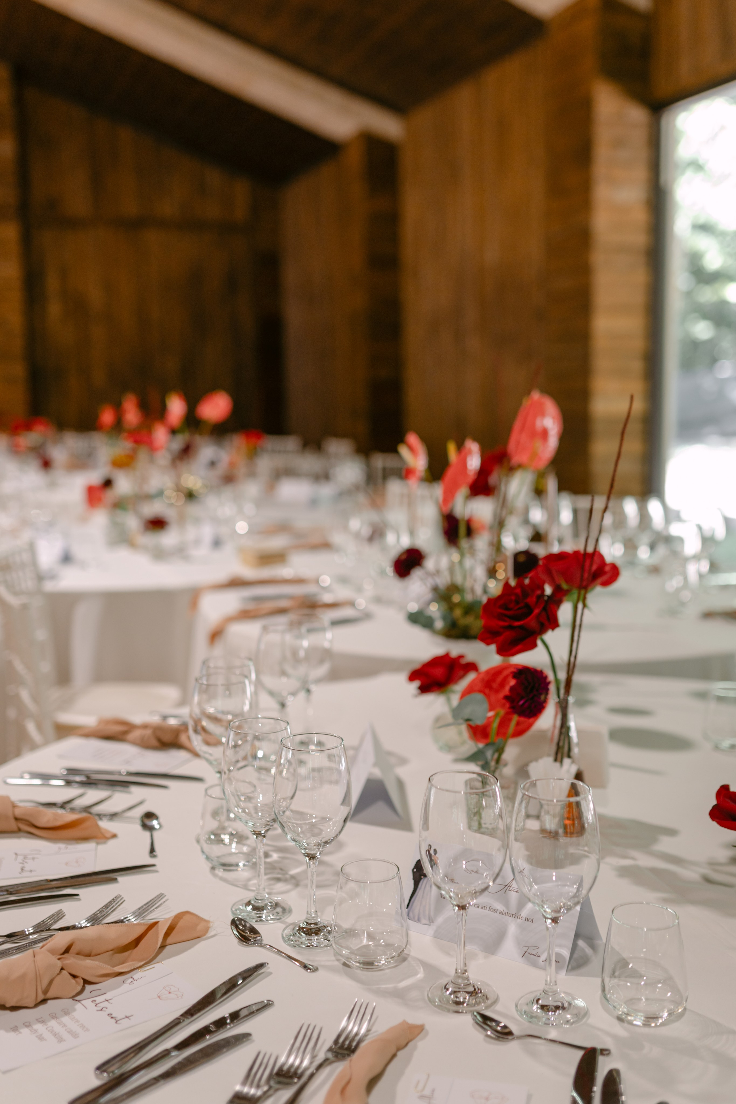 Corina | Alex. Gabrielacojocariu.com