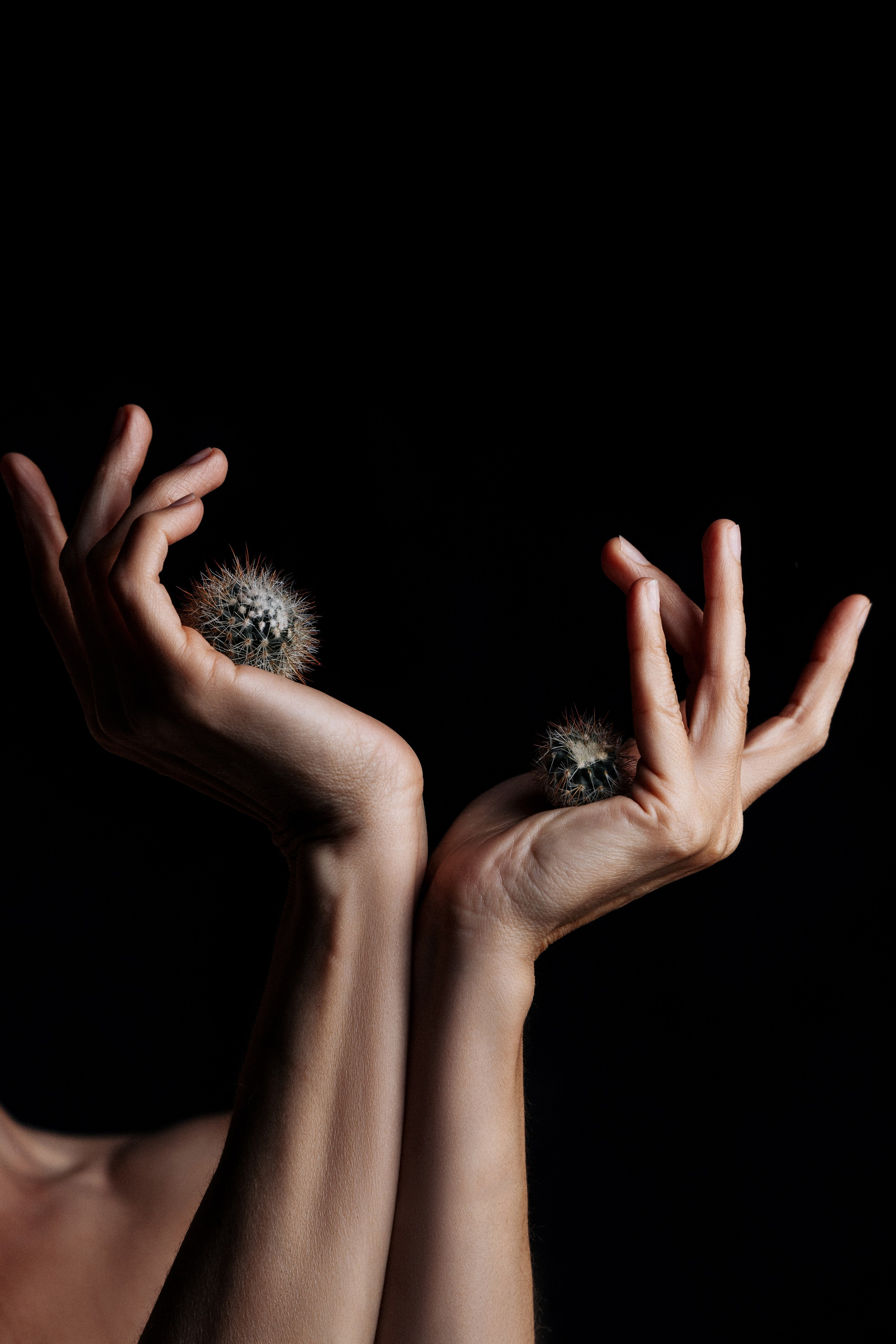 Tasha 28.07.2024. Portree- ja perefotograaf Anton Hansen Tallinnas, Eestis