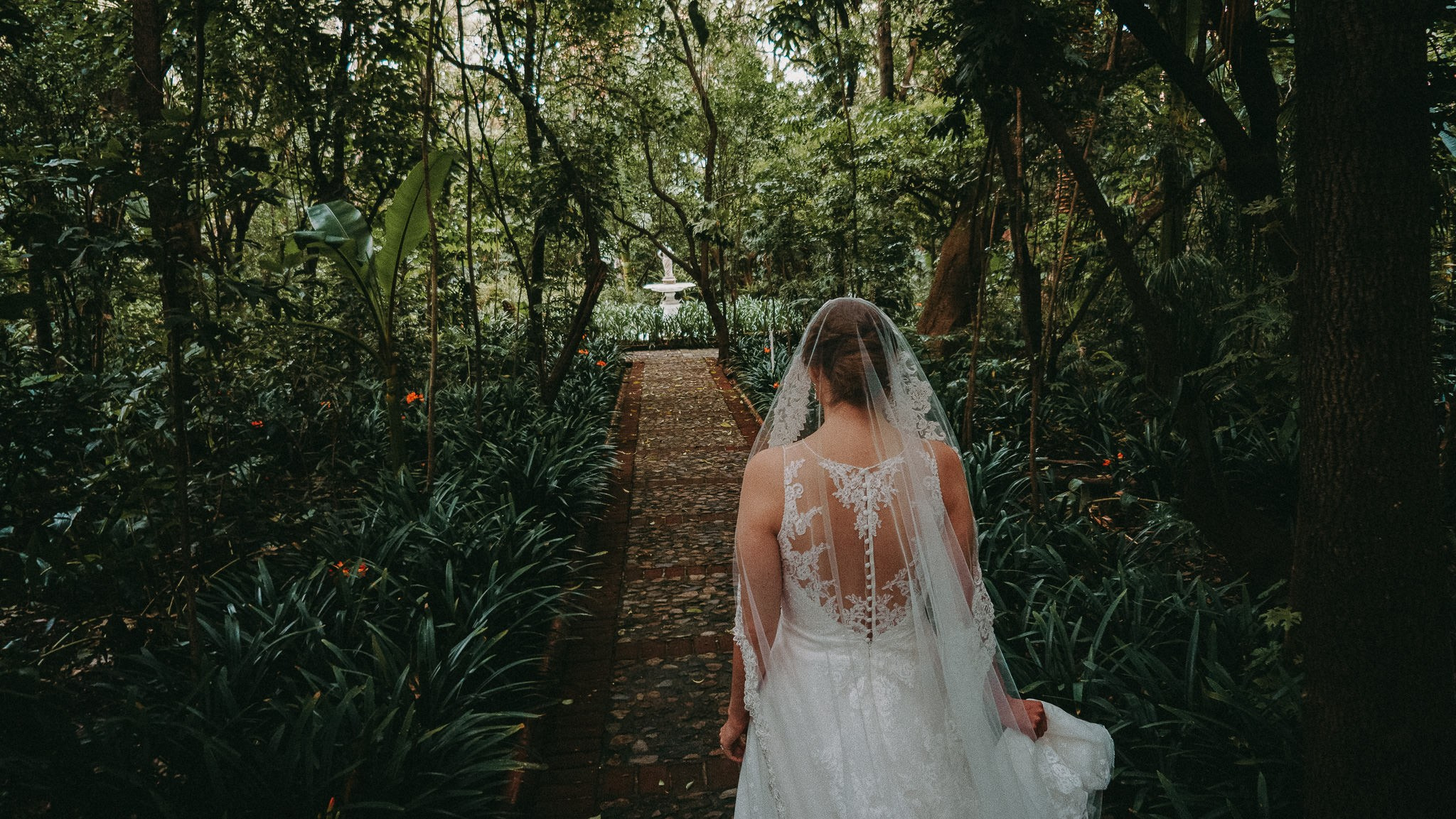Pao & Ale. Wedding and family photographer in Mexico City
