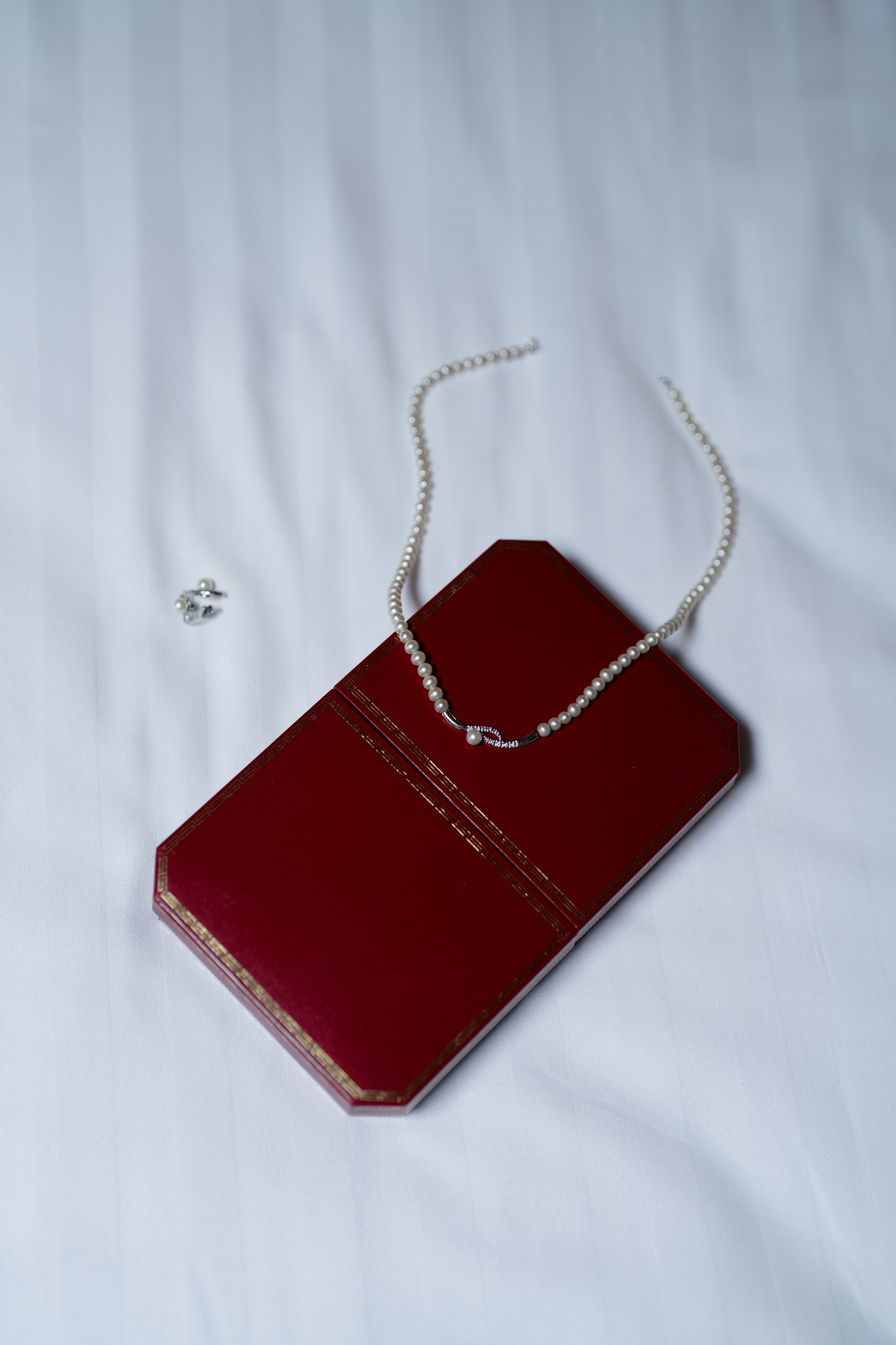 Portfolio. Ioana Timis