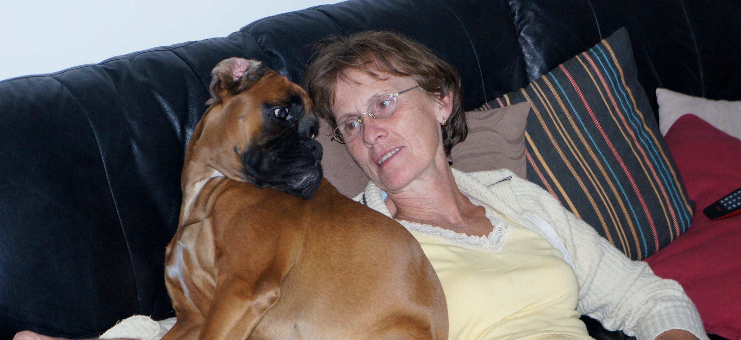 My ״Star״ Boxer Dog