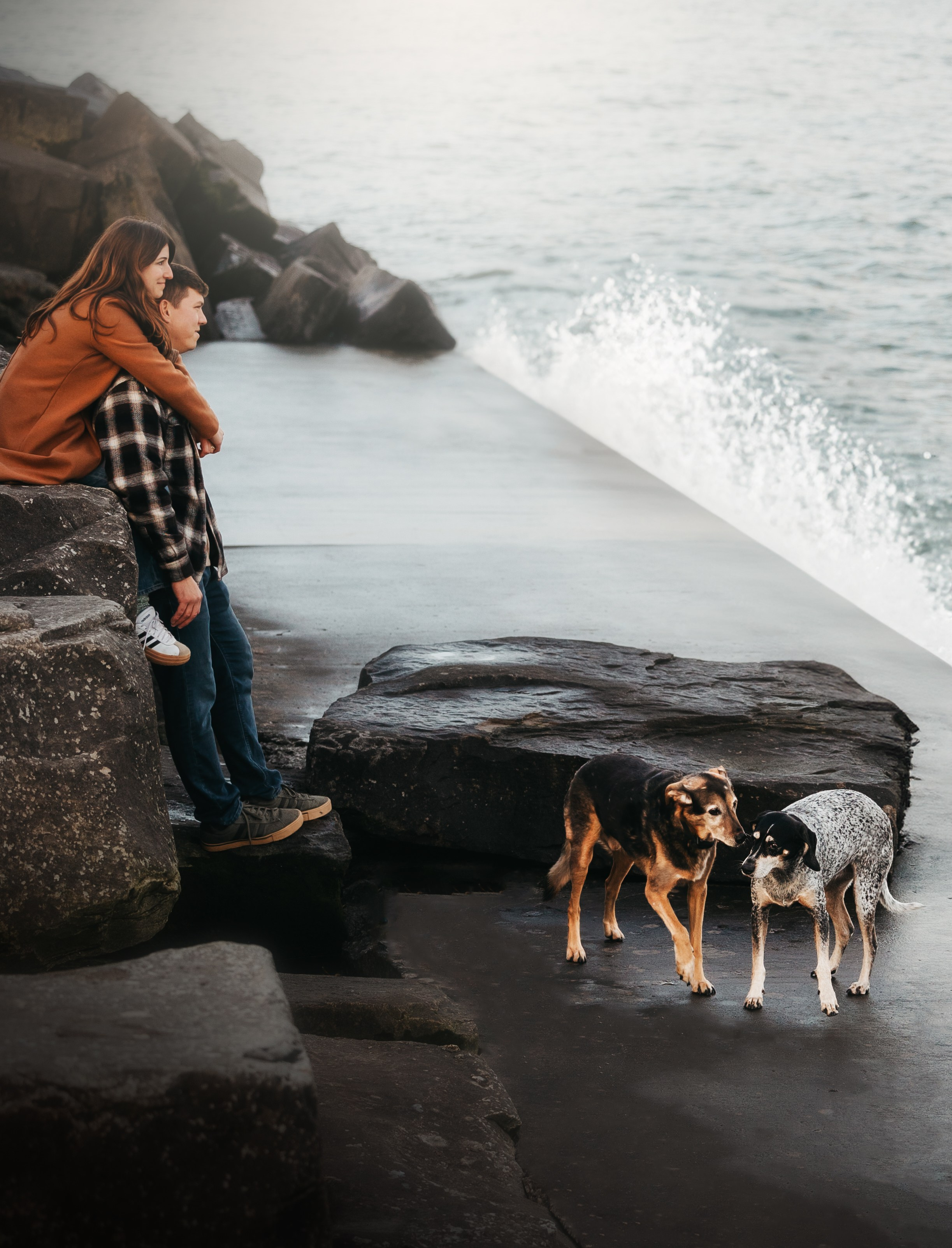 Racer & Delly. Pet Photographer Viktoriya Aleshenko