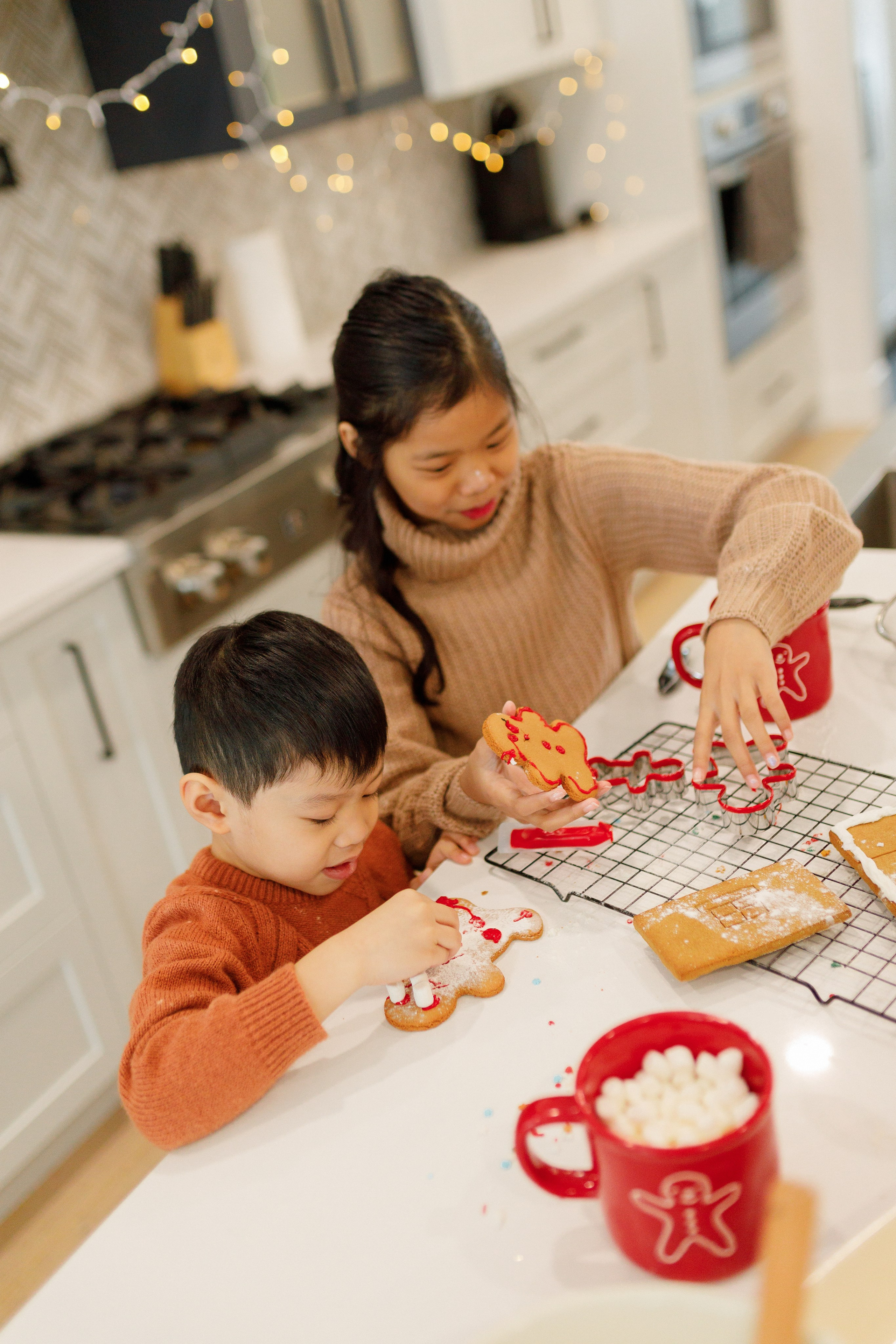 Christmas minis 2025. Home