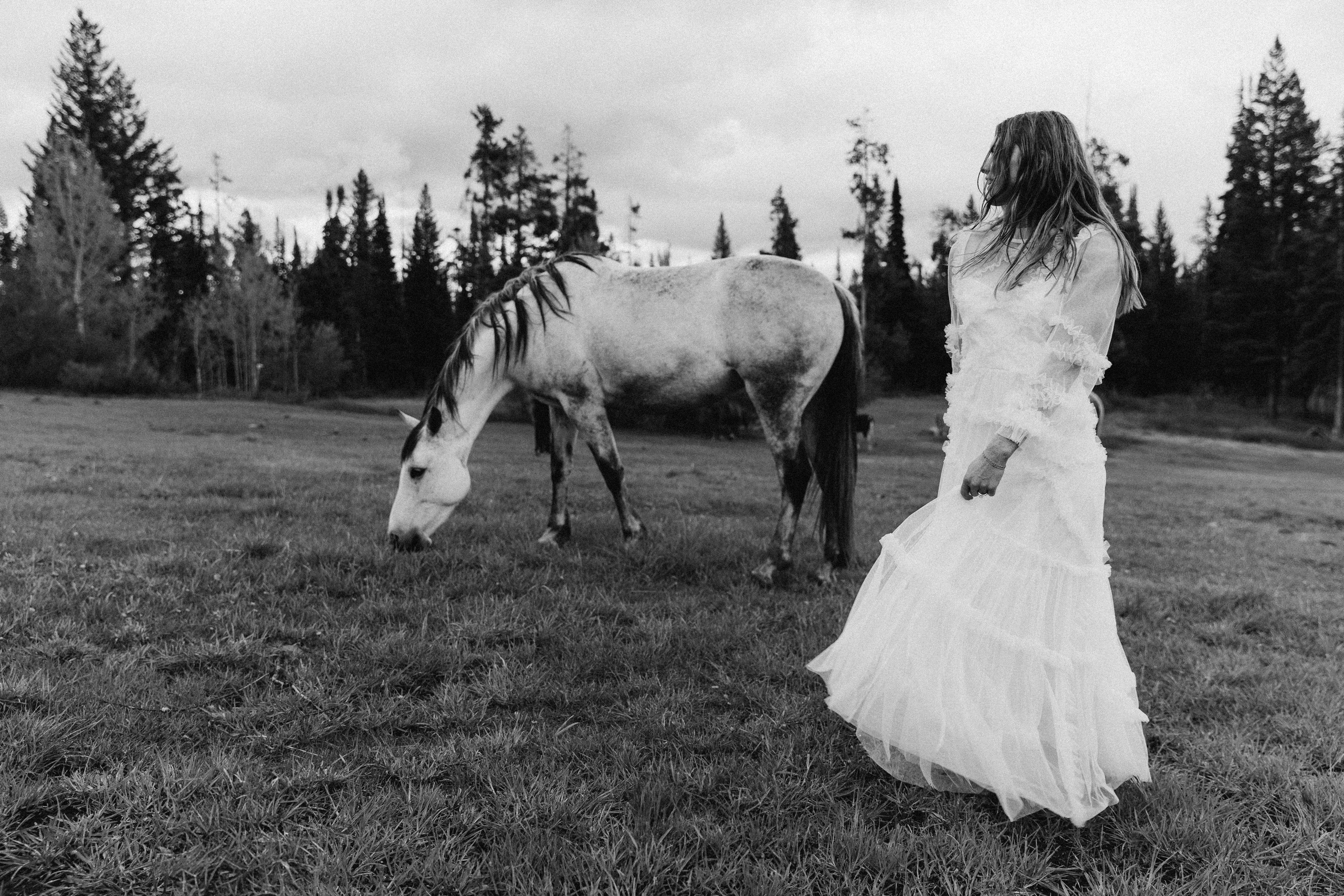 Siena & Aaron | Elopement in Wyoming