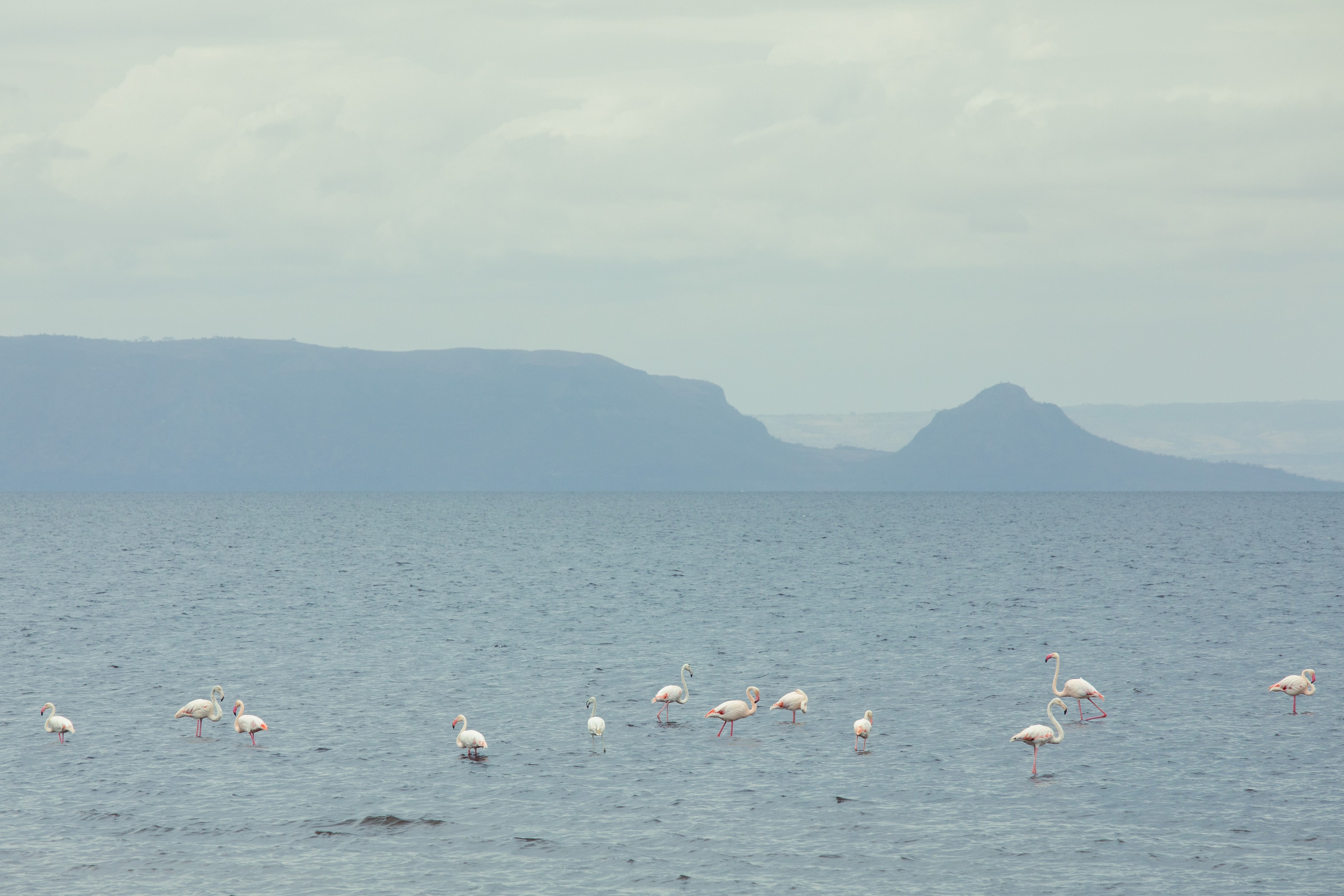 Abijatta Shalla National Park, Ethiopia. Documentary, lifestile photographer in Morocco Marina Chaikovskaia