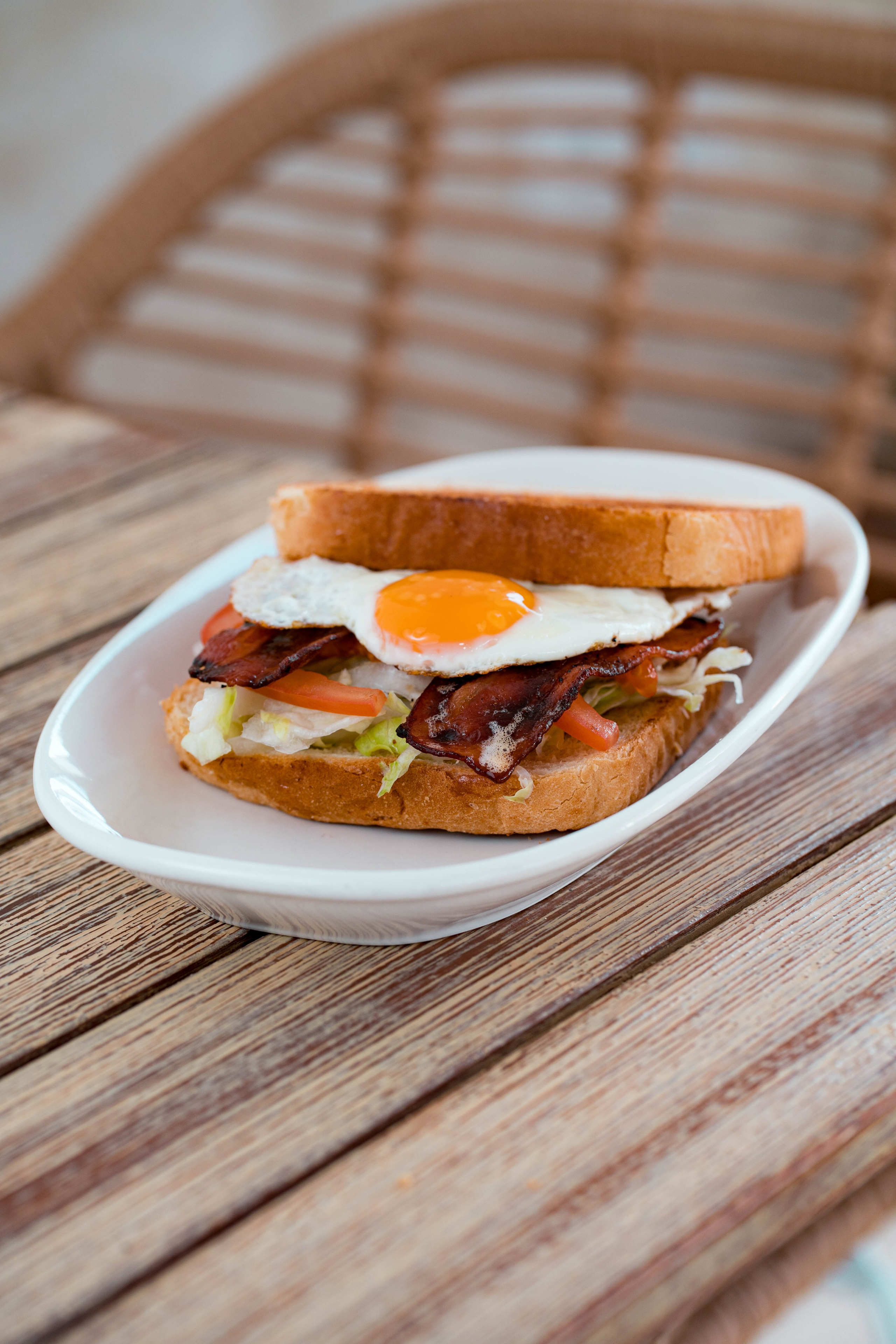 LA TERRACICA. Baby Beast