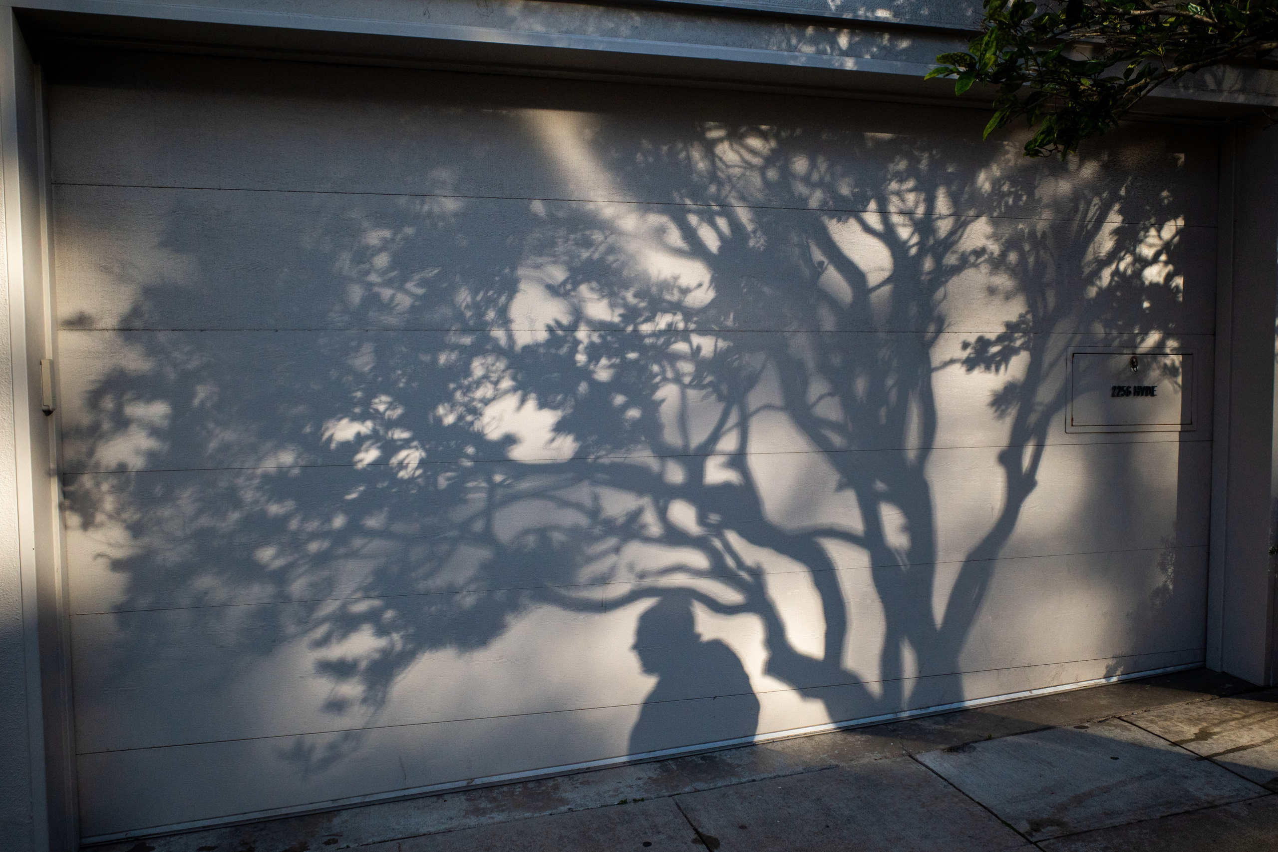 San Francisco. Aleks.photo | Book a photoshoot