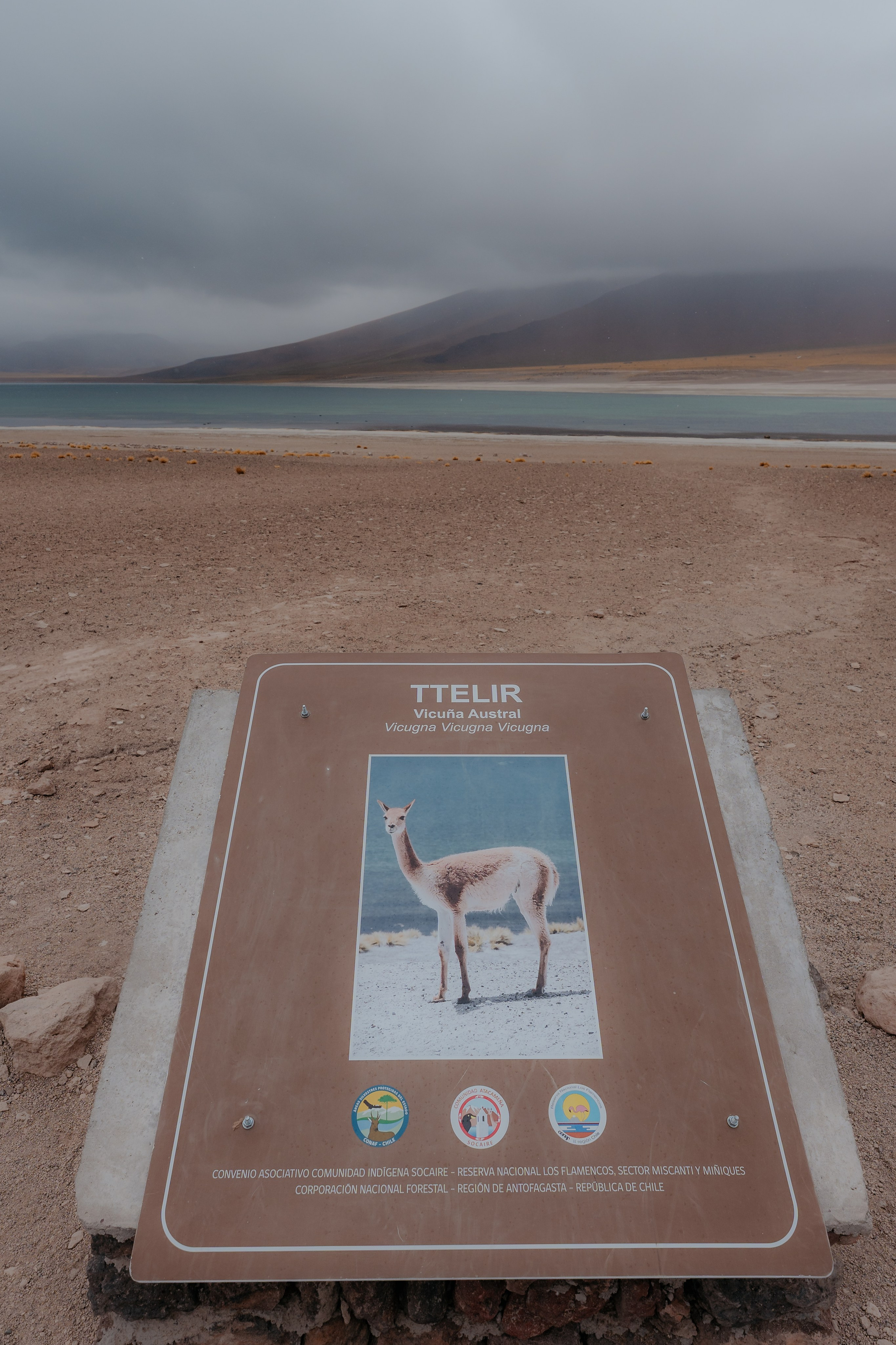 Família Ragazzi (cobertura em passeio). Principal