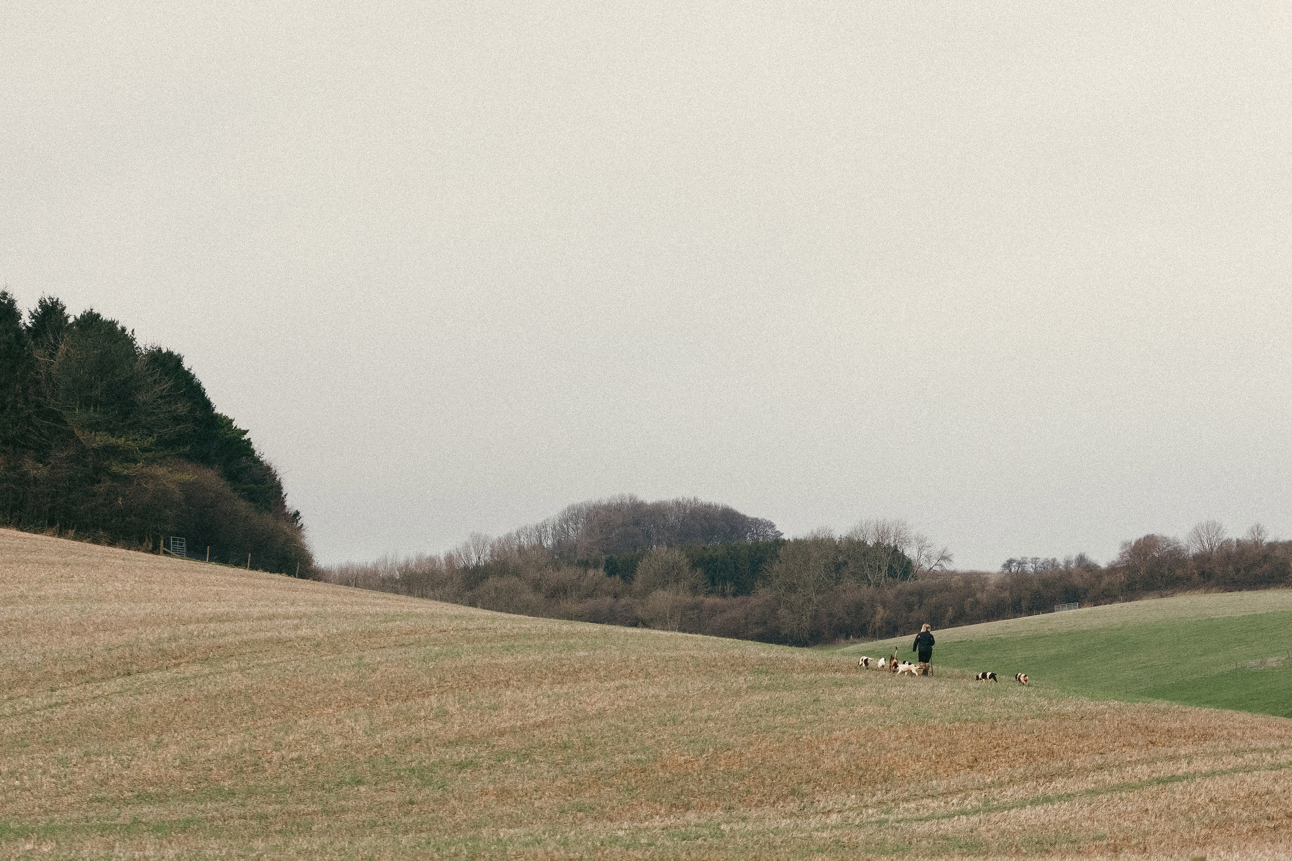 Salperton | Family Photographer in London and Kent