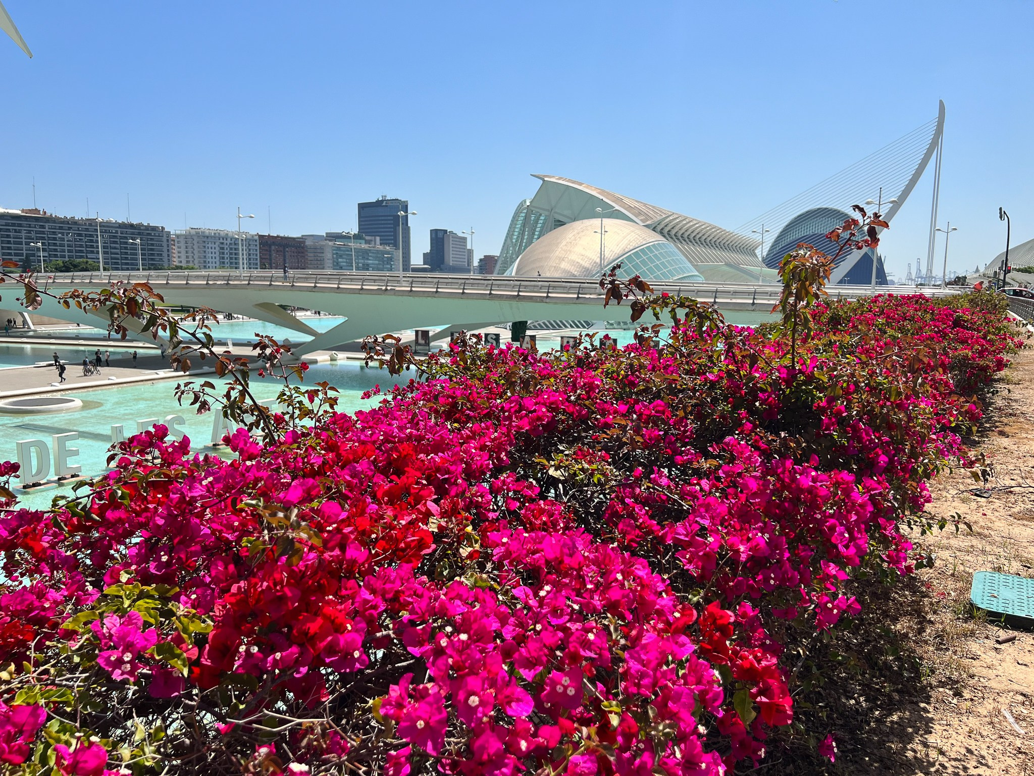 Fotografie urbana. Daniel Criste Fotograf