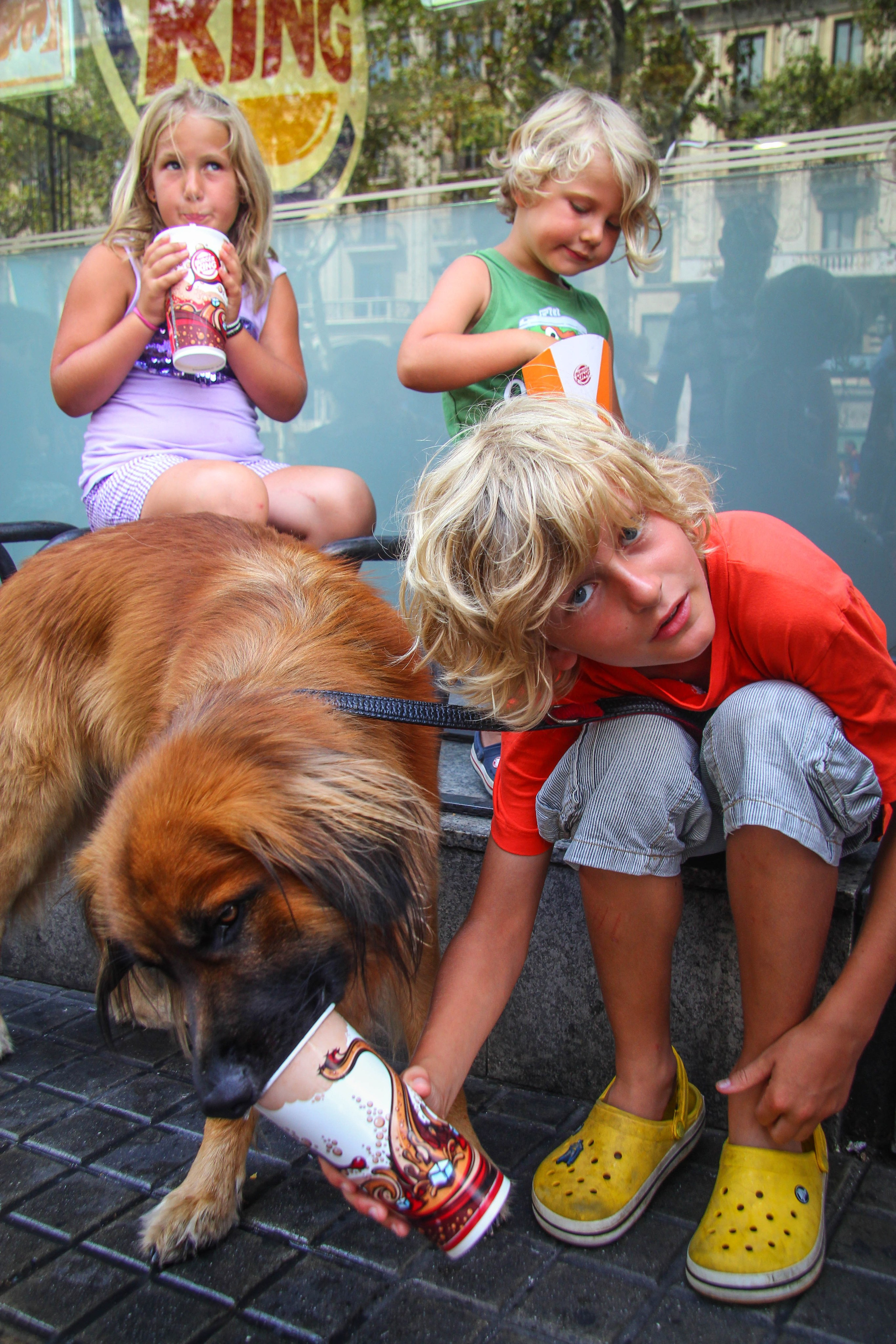 ИСПАНИЯ. Стрит-фотография, полная абсурда, идиотизма и красоты