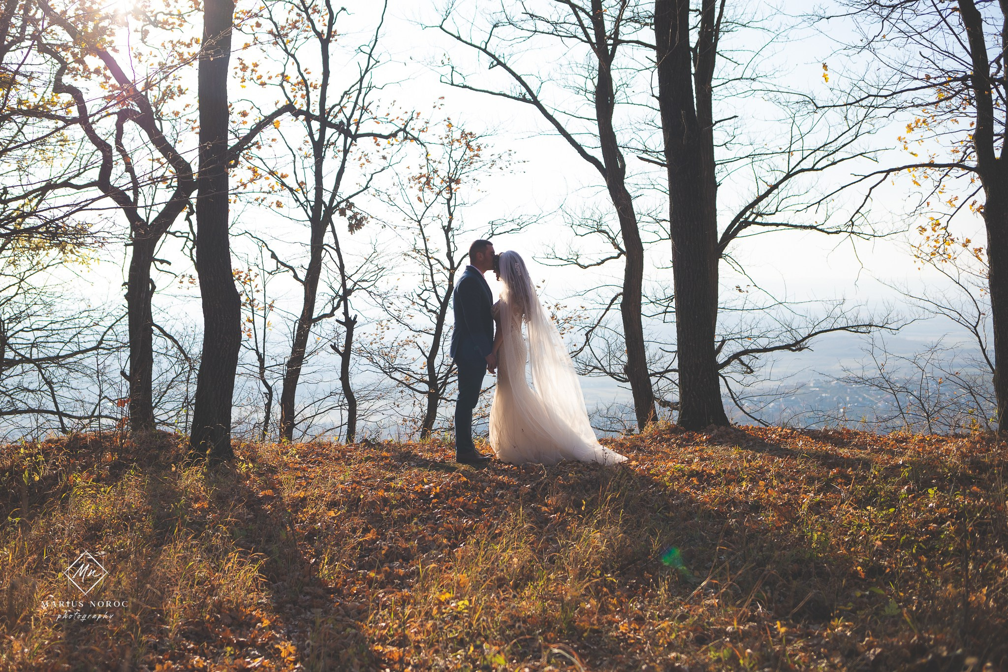 Alexandra & Alin | Padurea Bucium Iasi