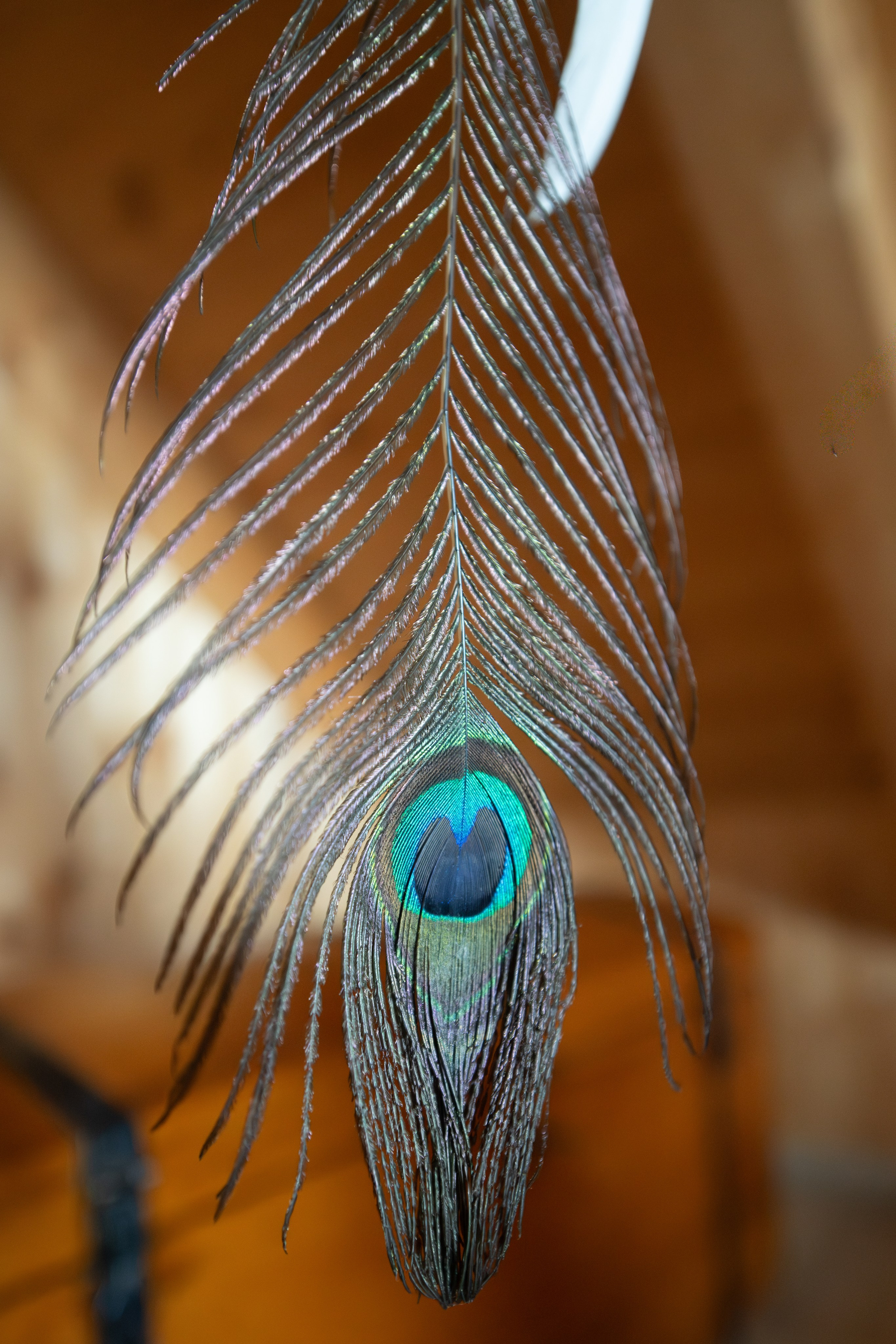 Rustico, VAL RESA, TICINO. Hallo! Ich bin Elena und arbeite als Immobilienfotografin