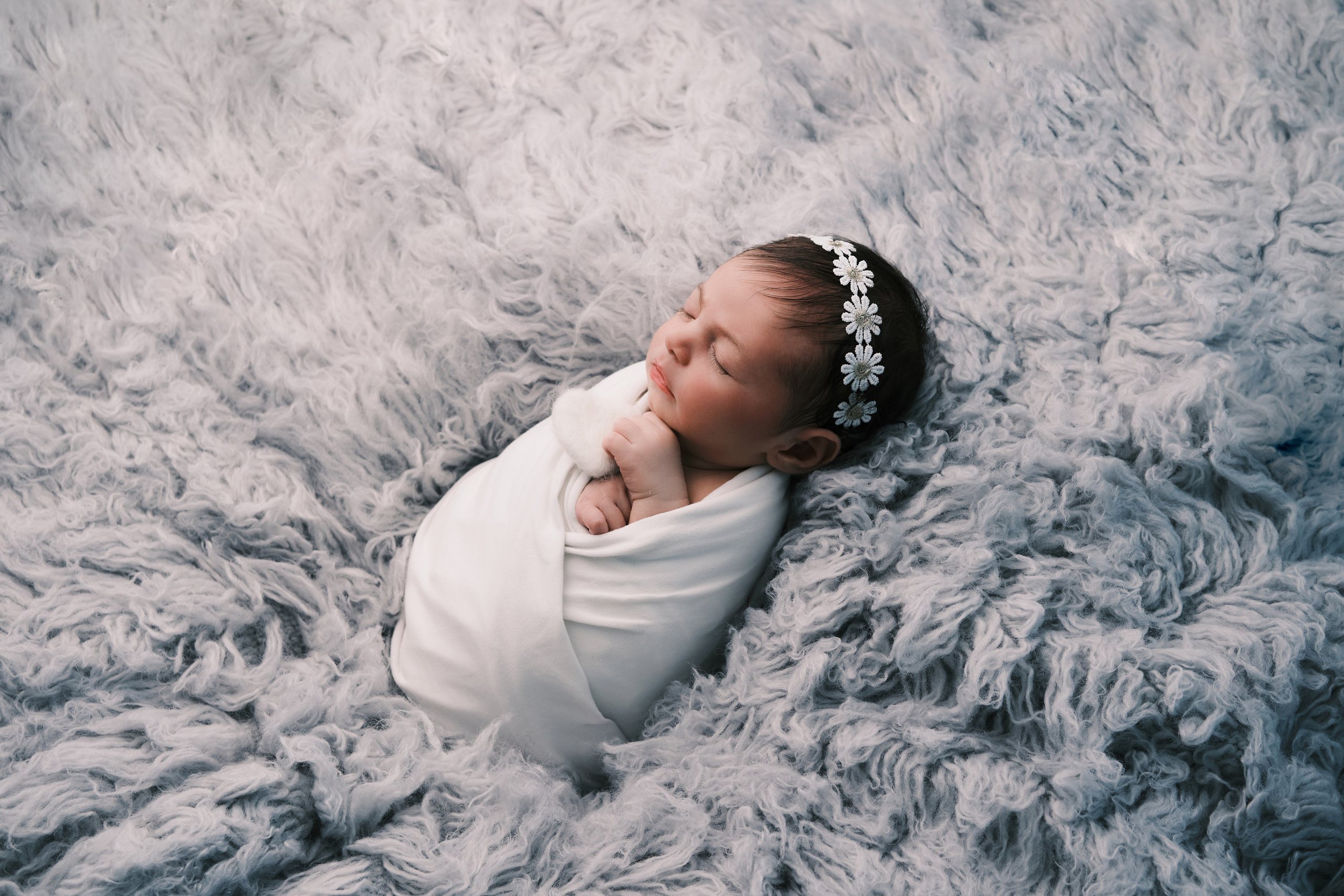 New born. Anghel’sPhoto