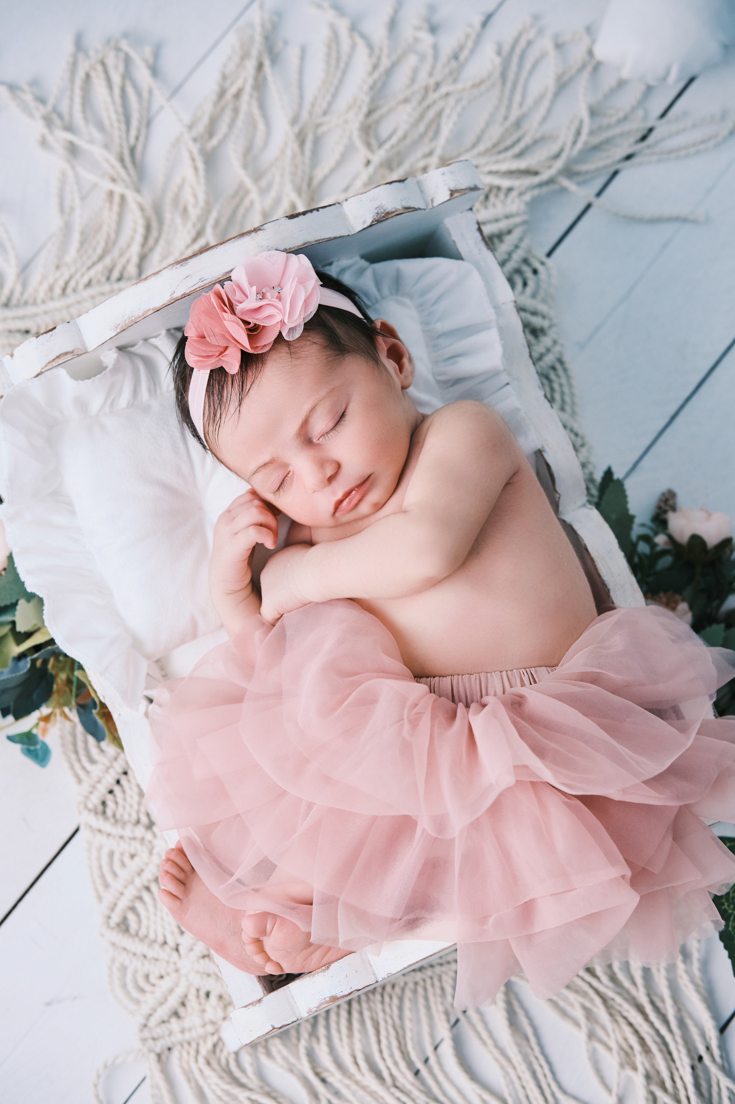 New born. Anghel’sPhoto