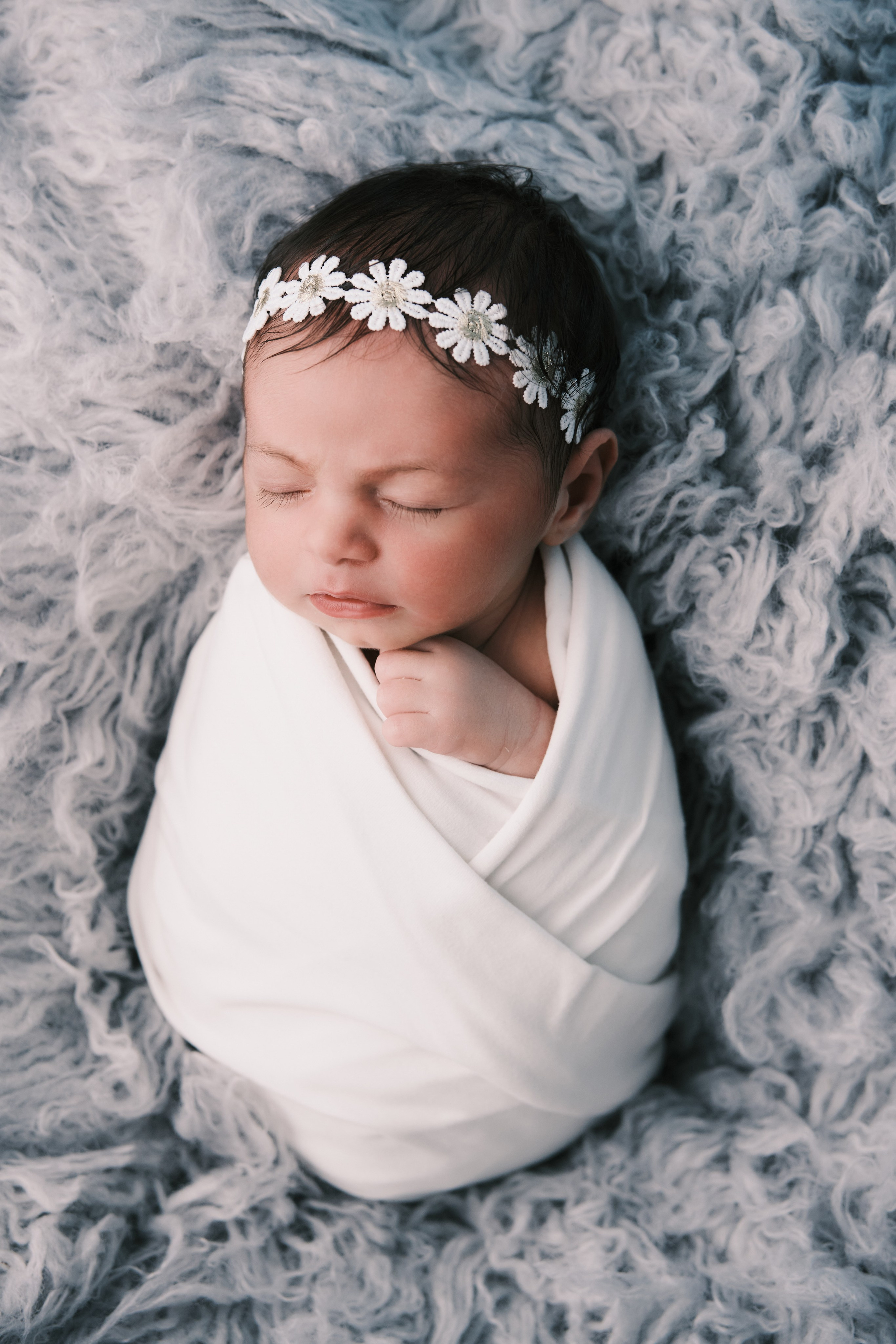 New born. Anghel’sPhoto