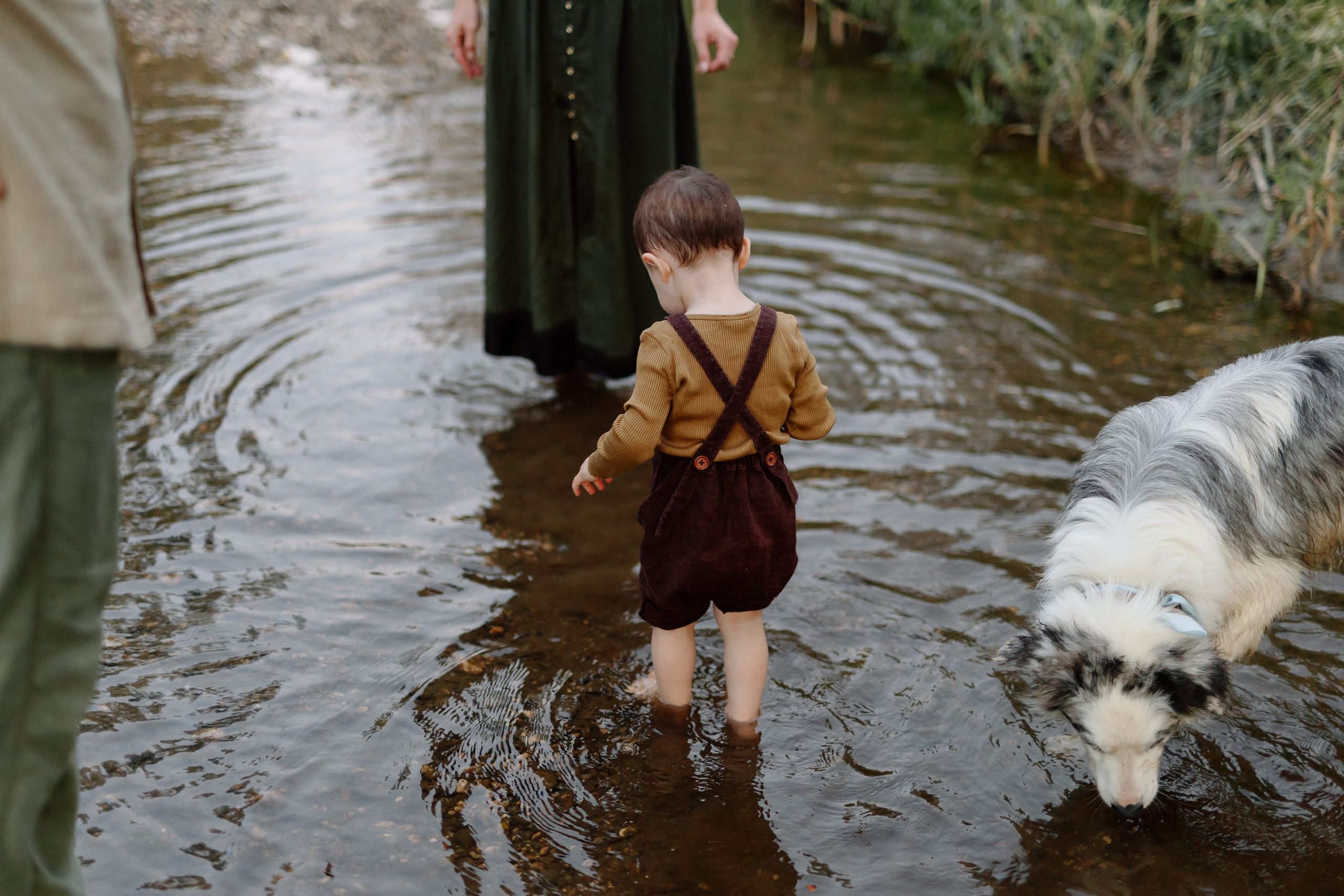 Cristina, George & Ian — Family. Main