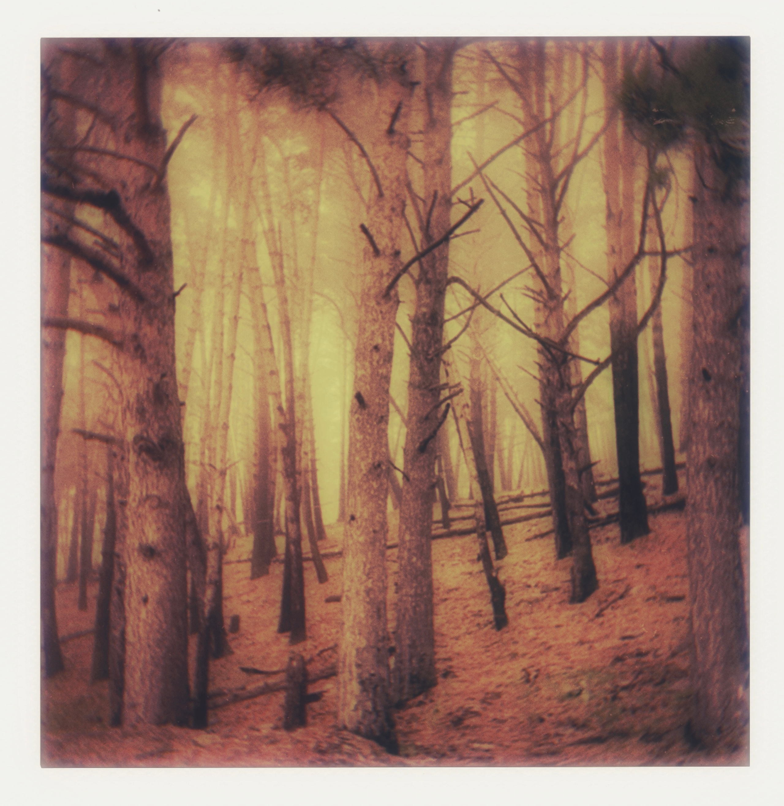 Pola — Georgia. Chloé Heller — Fine Art / Documentary Photography